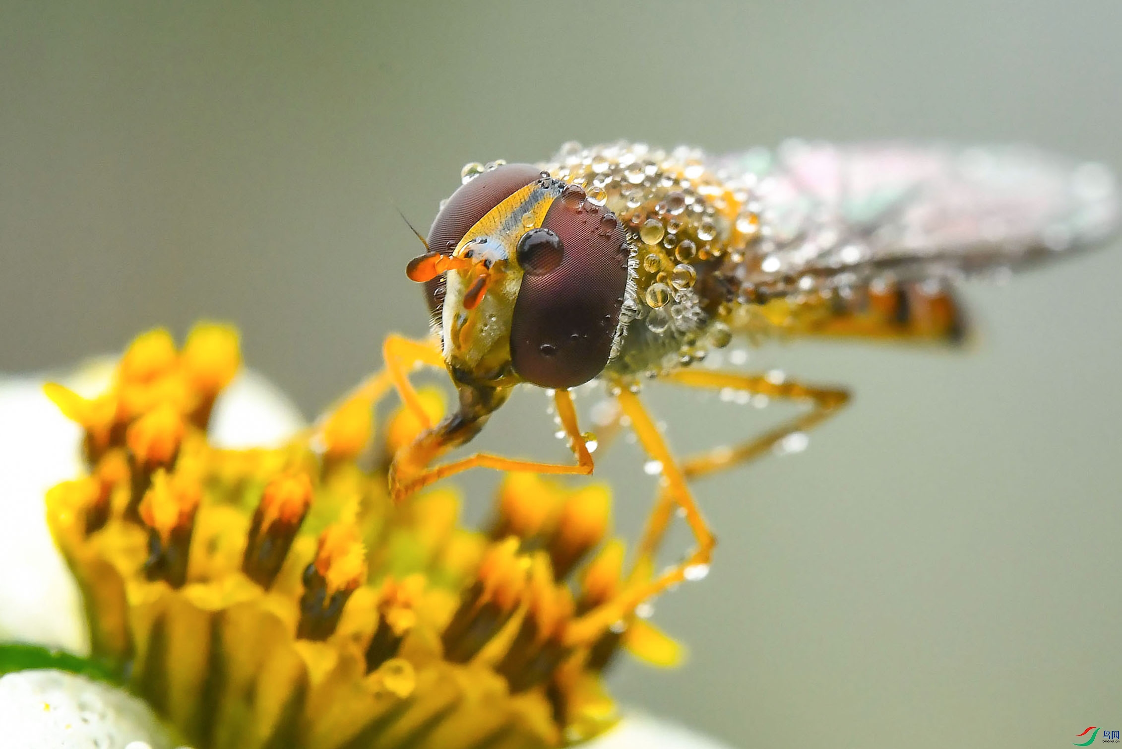 DSC_1100-0.jpg