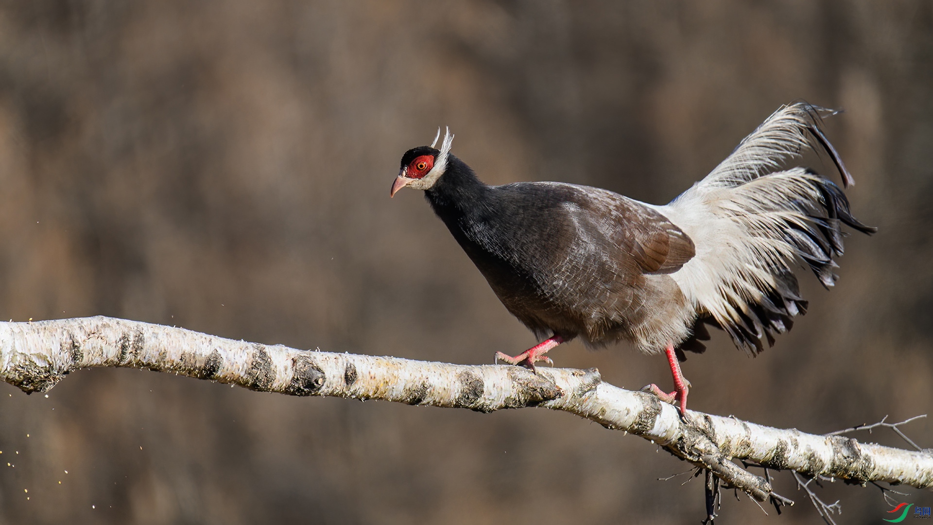 DSC_1793-20250713�� .jpg