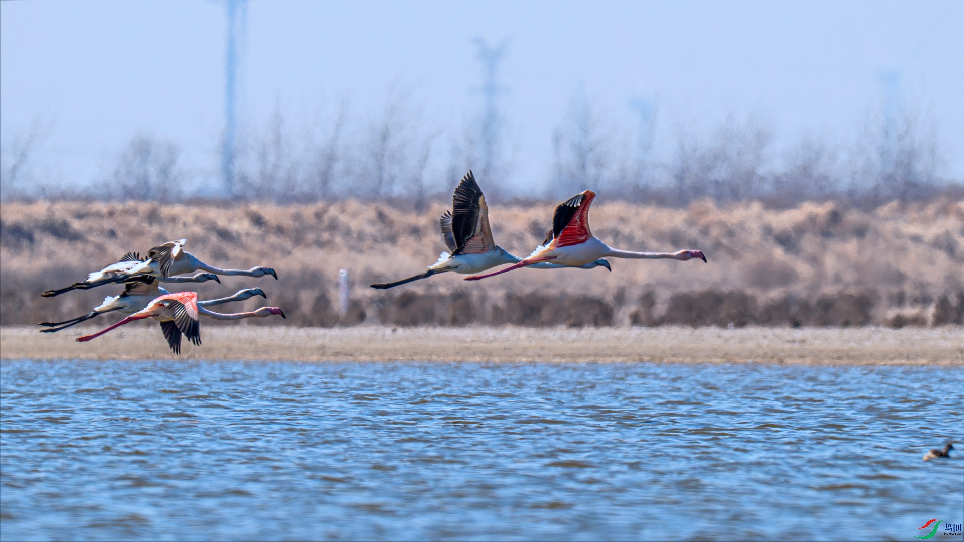 _DSC1245 ����_����.jpg