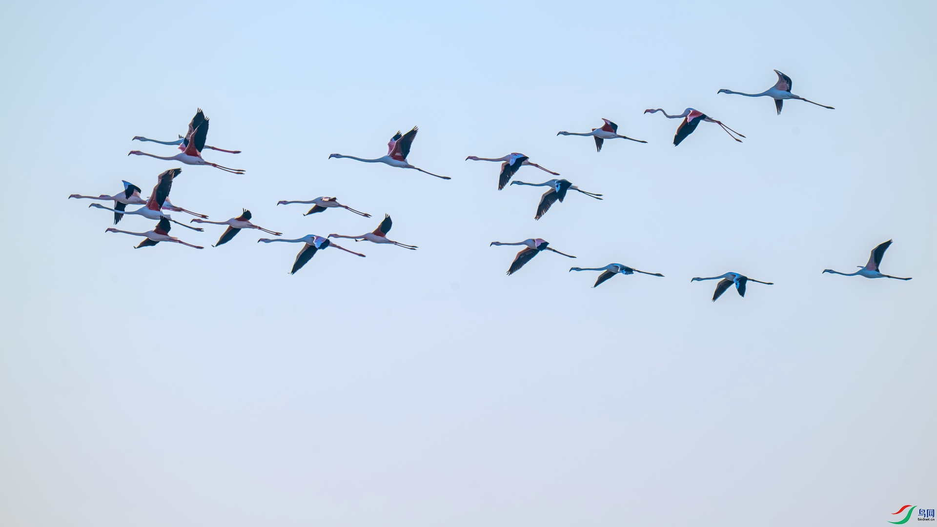 DSC_1976 ����_����.jpg