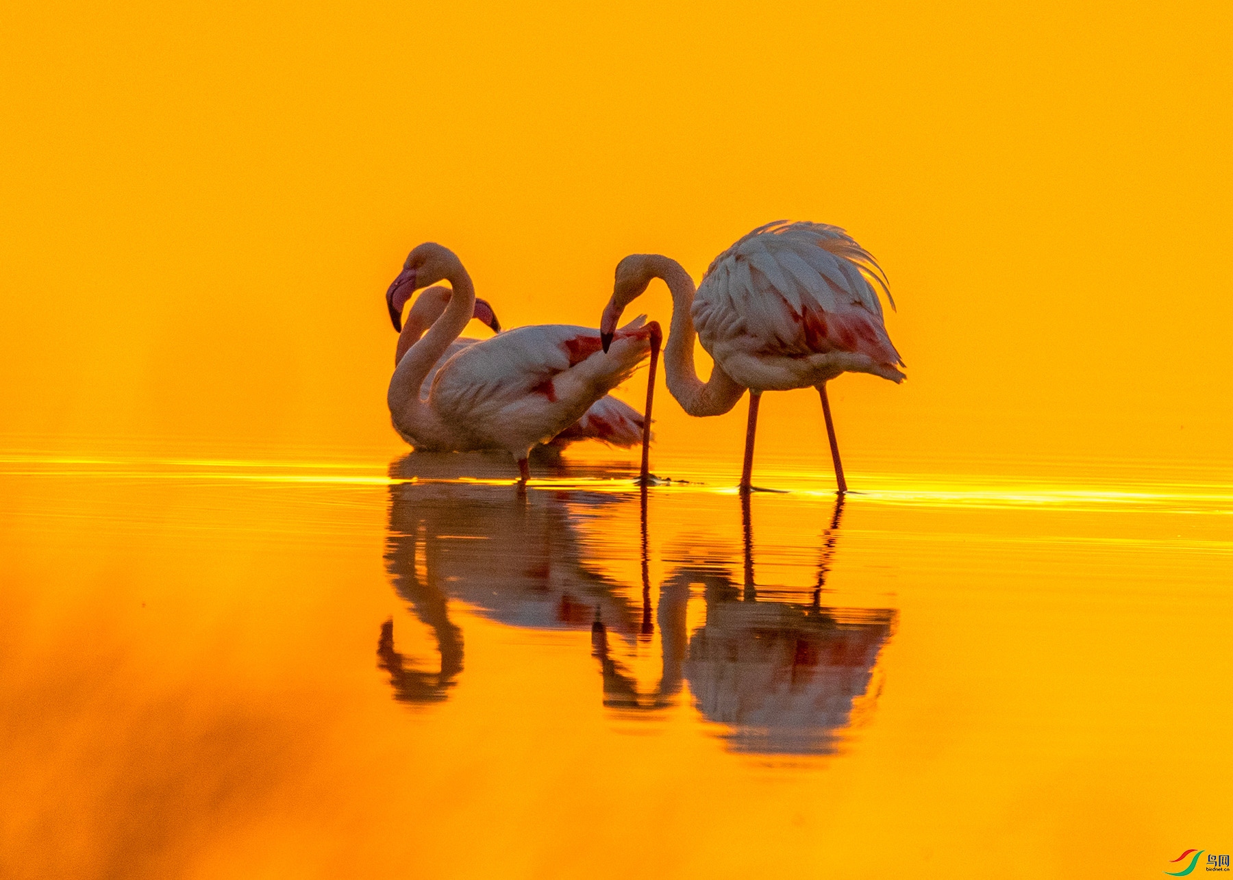 IMG_6545 ����.jpg