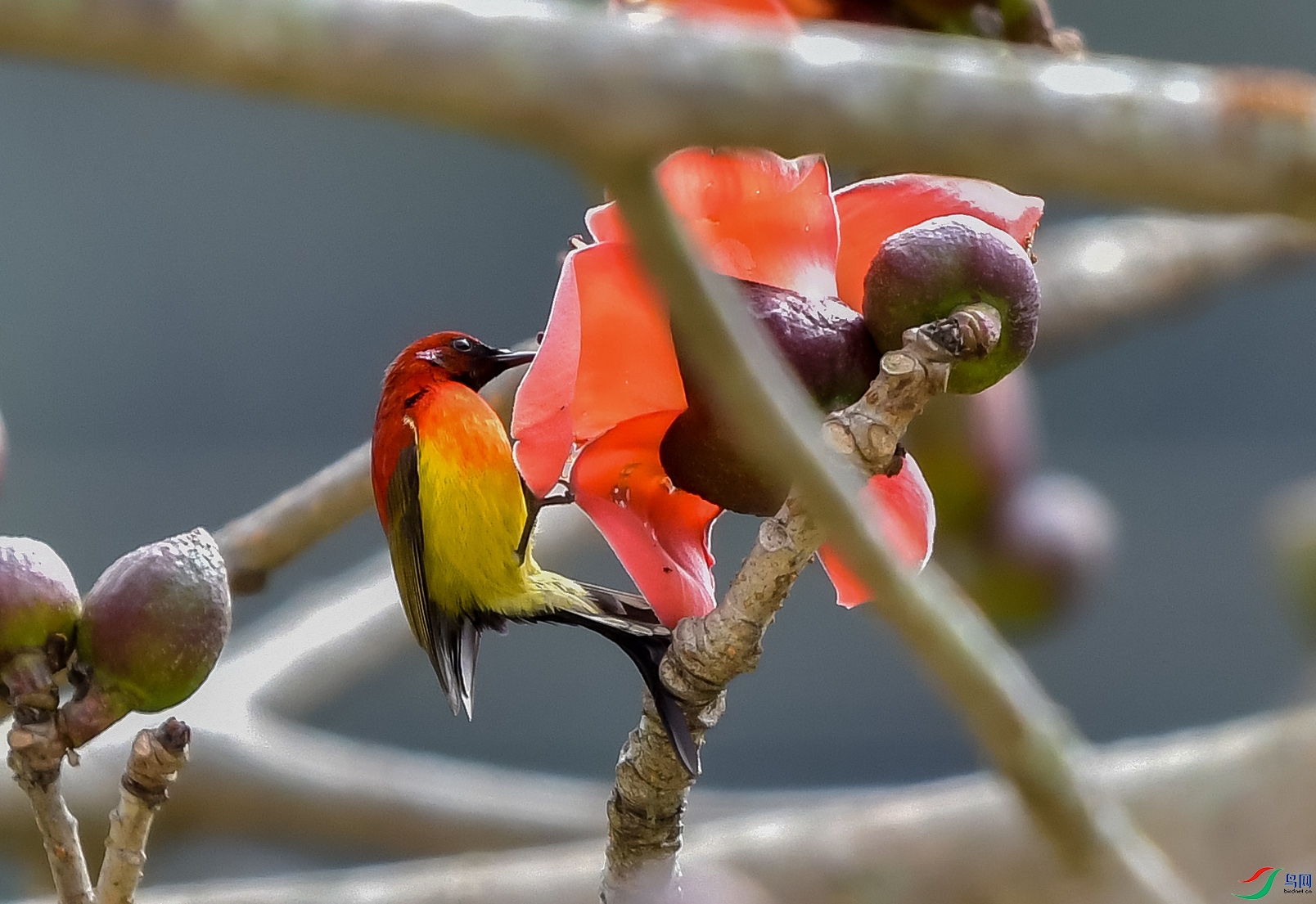 DSC_6133.JPG