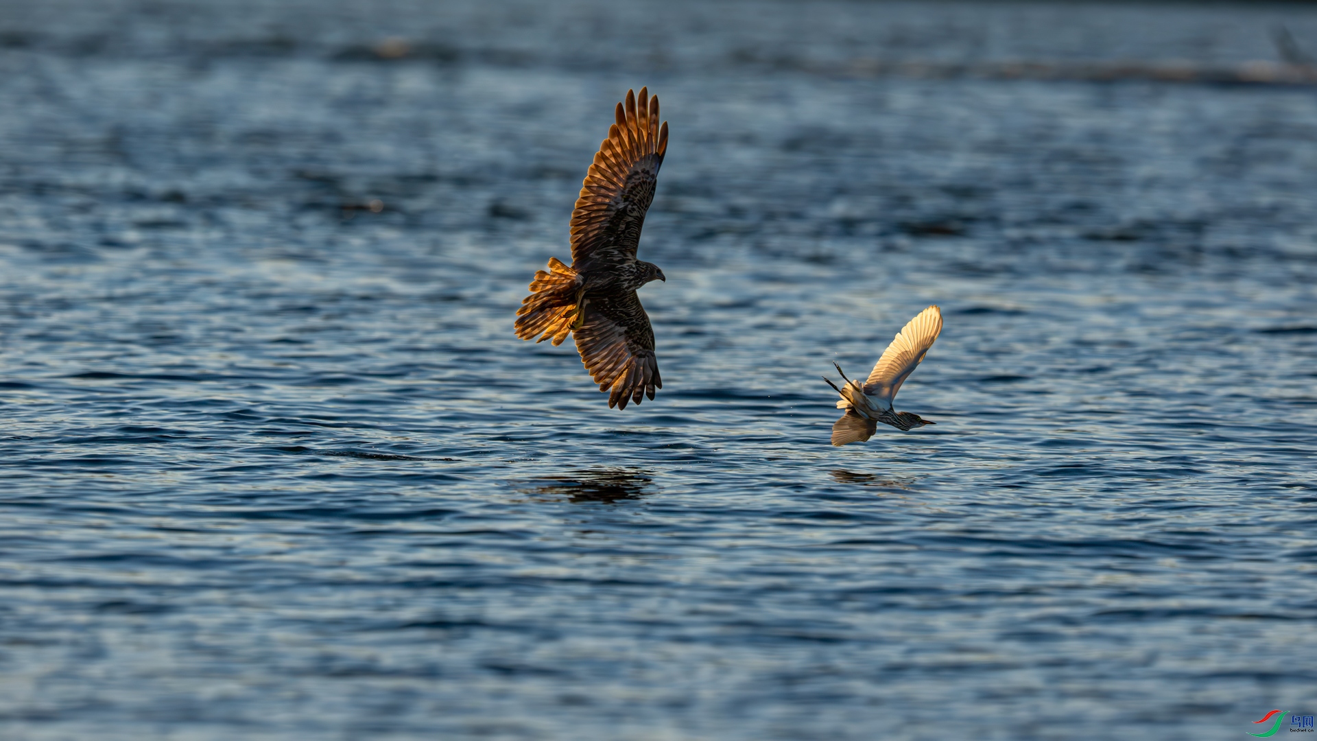 DSC03268 ����.jpg