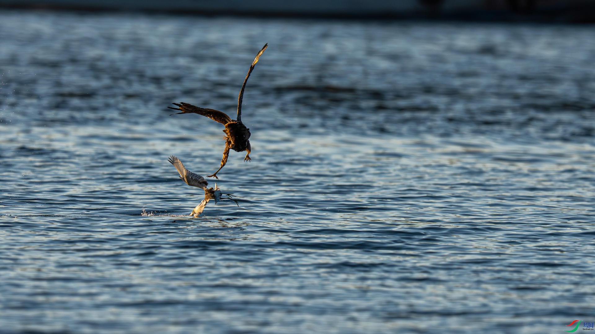 DSC03289 ����.jpg