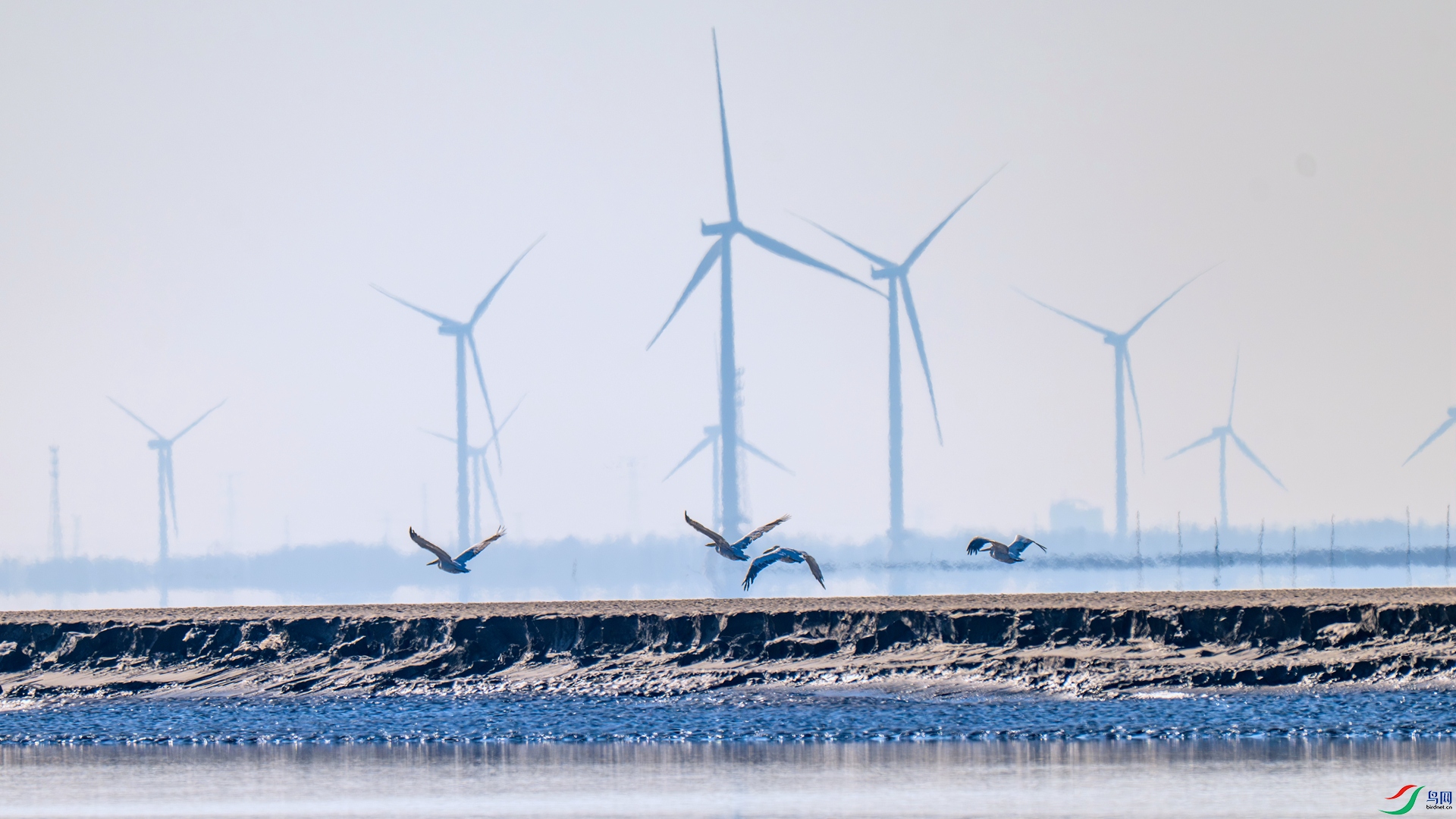 DSC_0473 ����_����.jpg