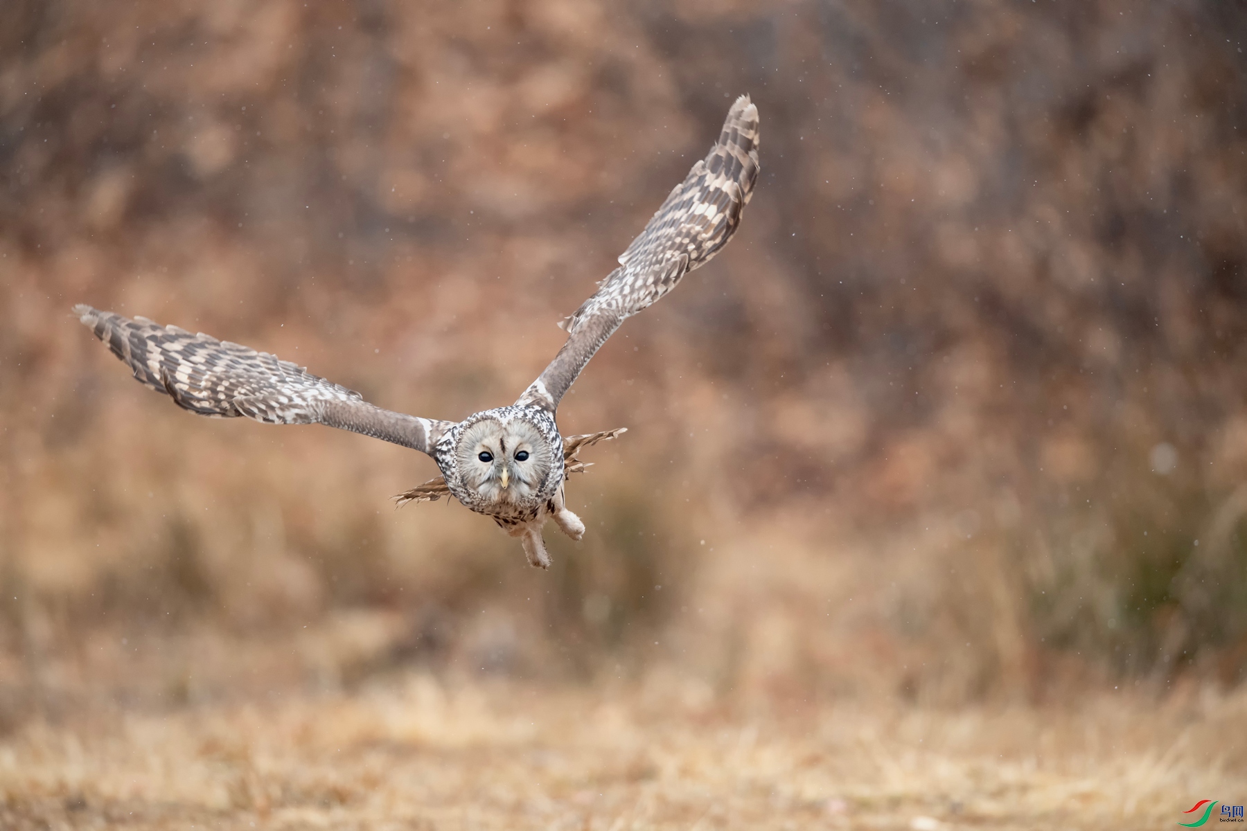 DSC_5753_����.jpg