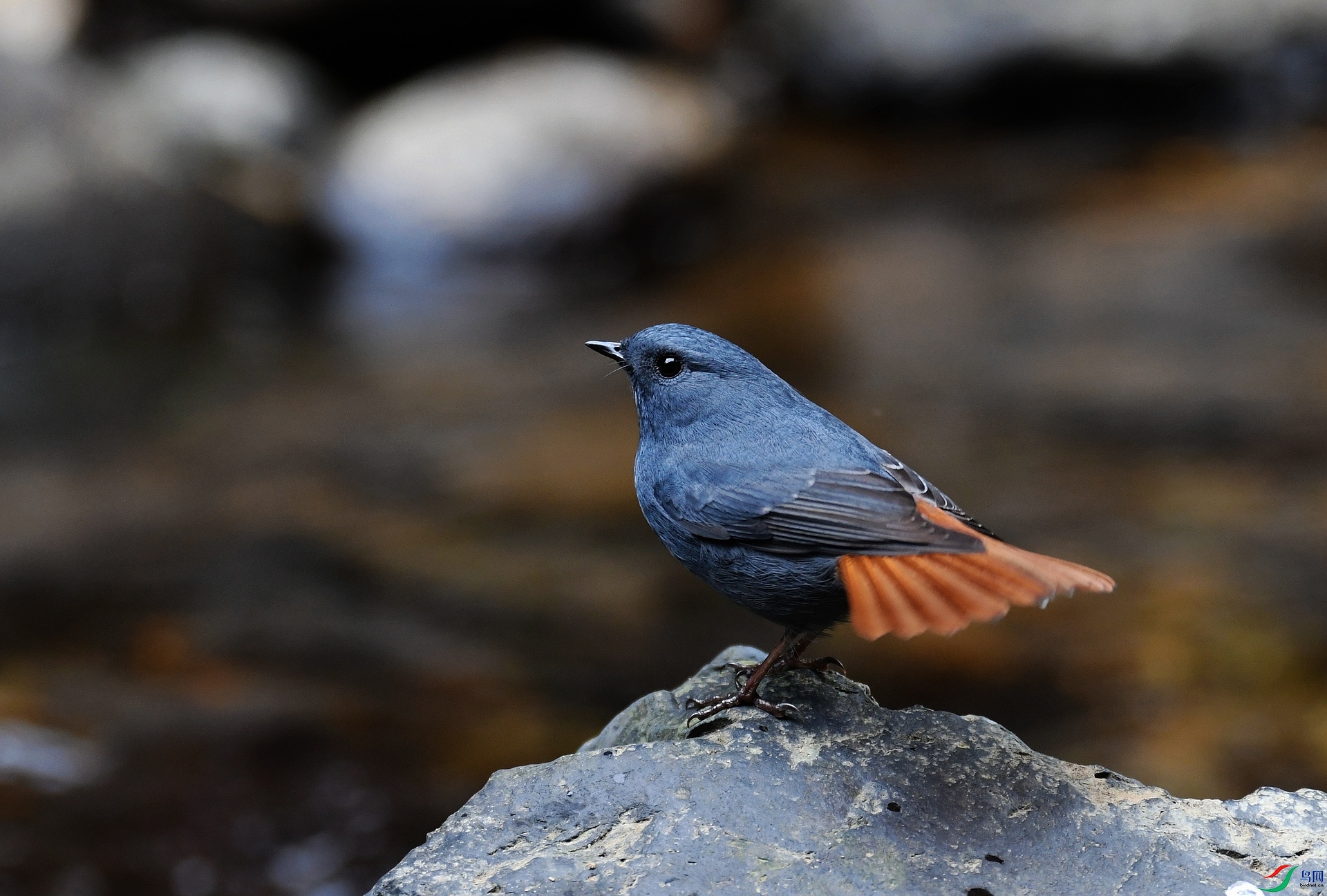 DSC_0897.jpg