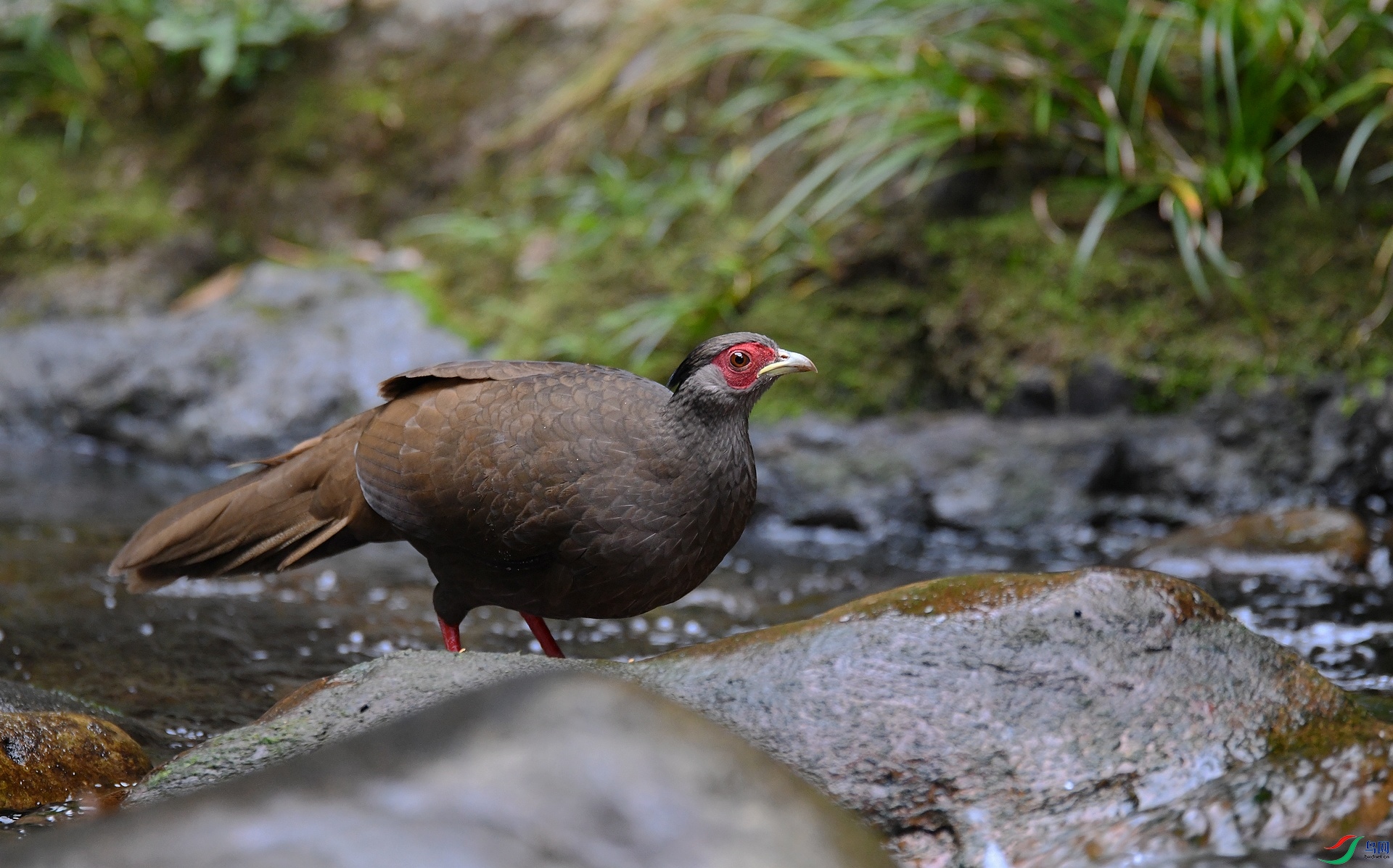 DSC_1203.jpg