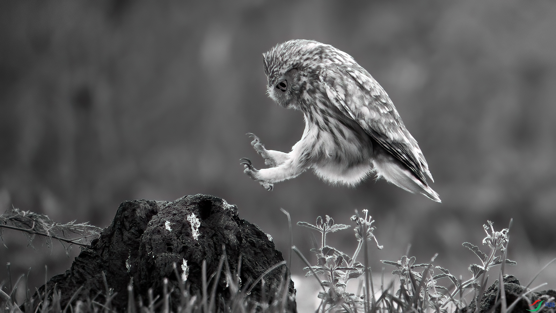 DSC_3967-20240827�ü� 1.jpg