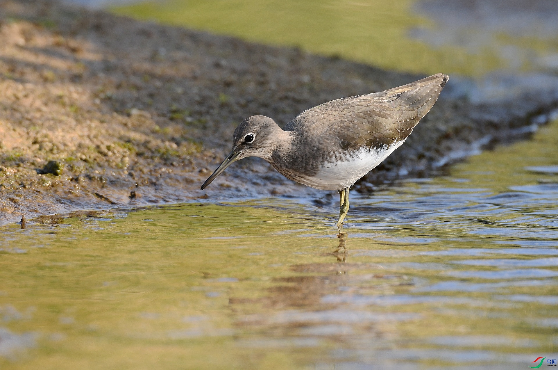DSC_1818.jpg