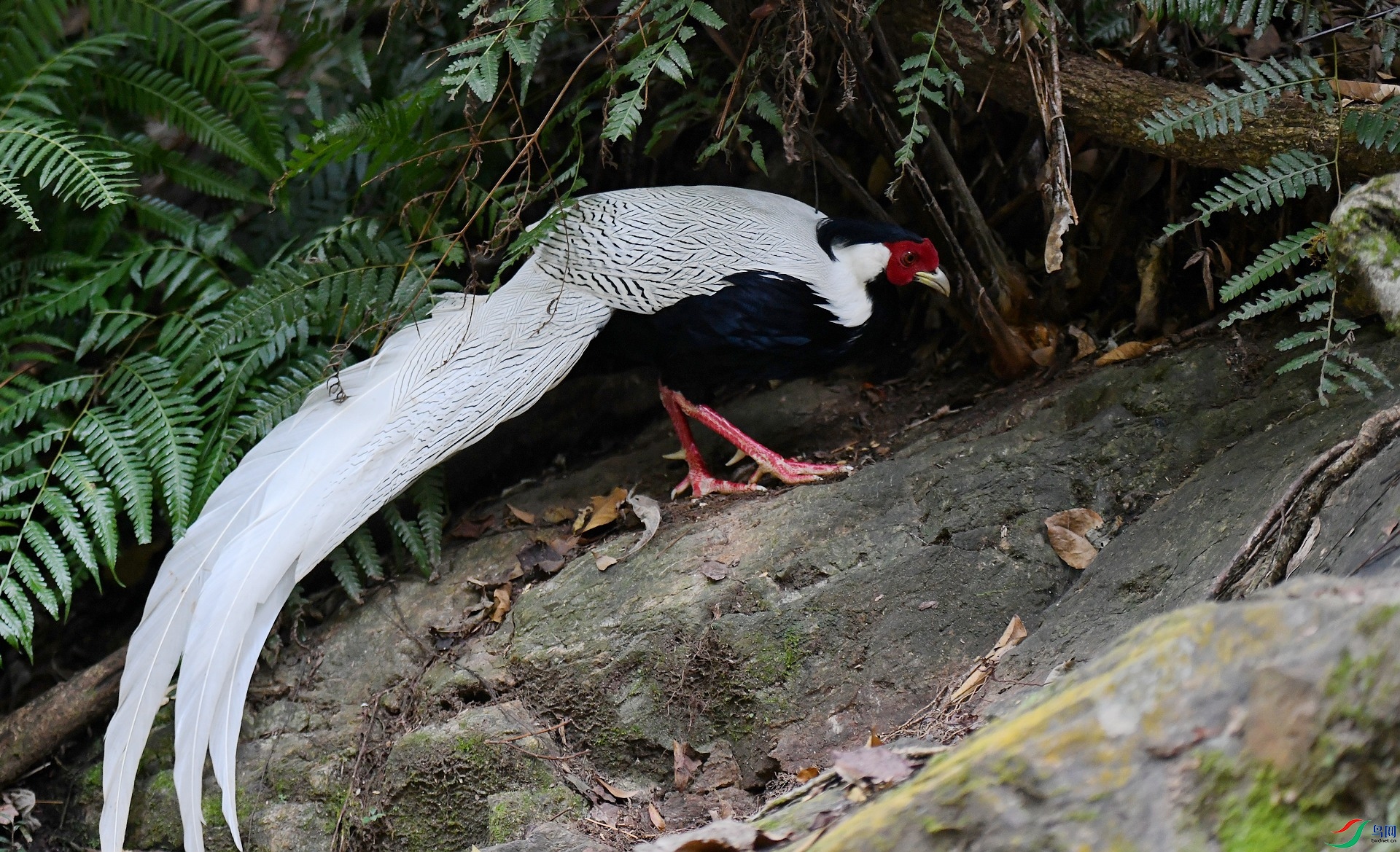 DSC_8284.jpg