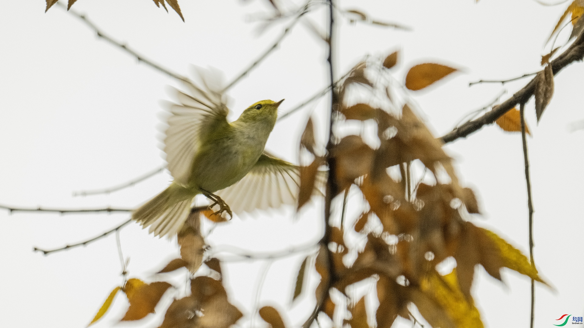 DSC_8857 ����.jpg