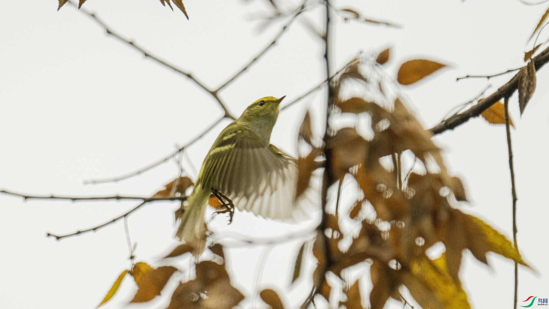 DSC_8858 ����.jpg