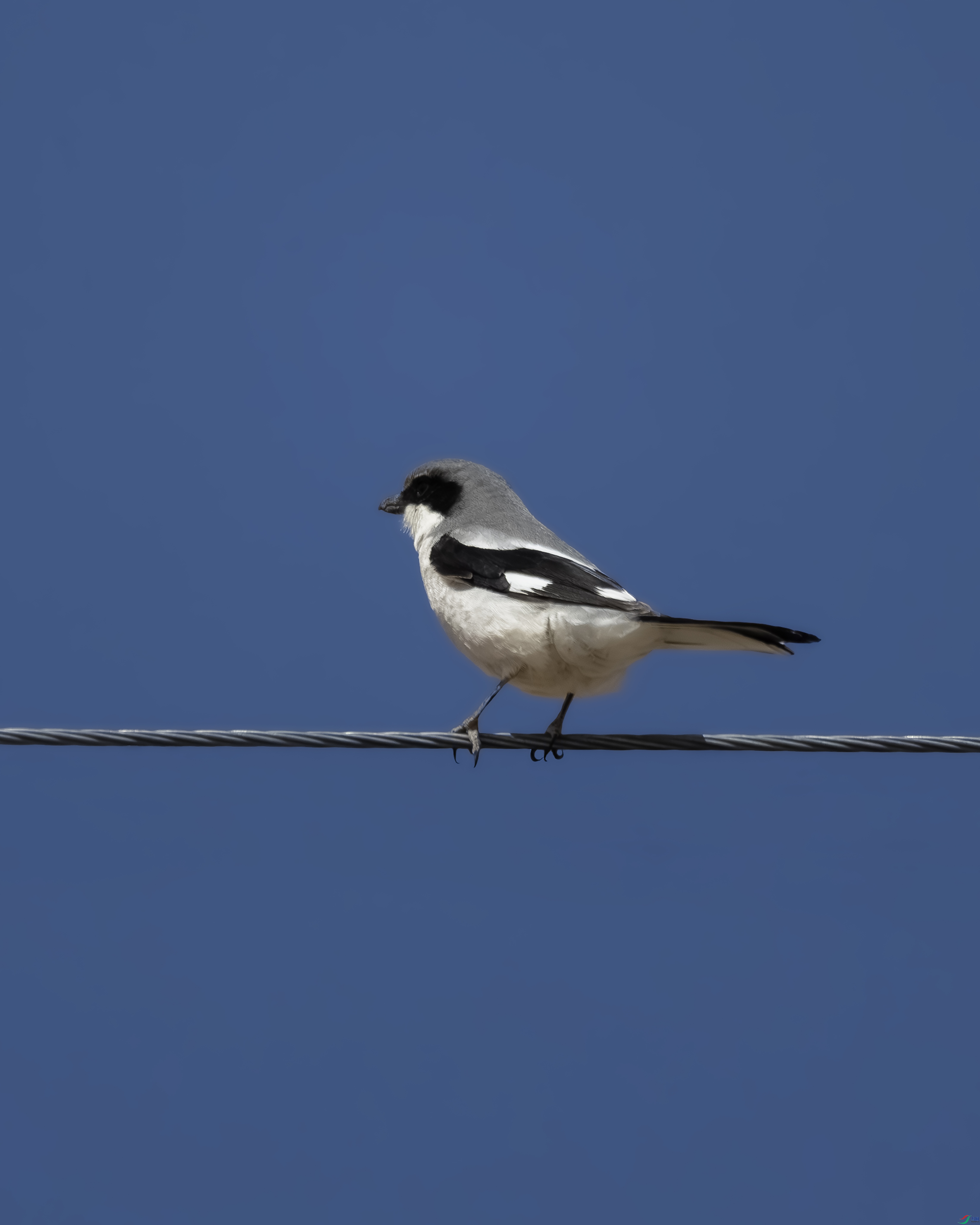 7X5A5634 ����.jpg