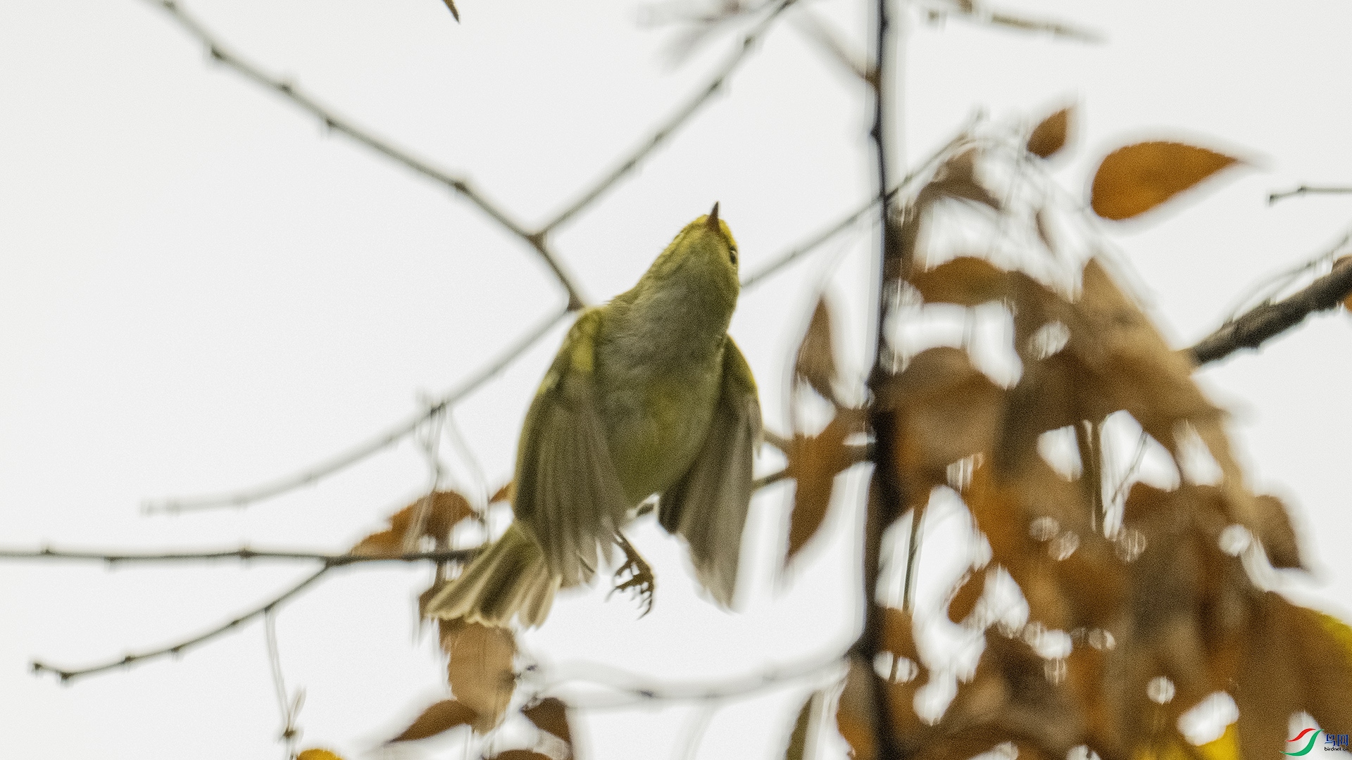 DSC_8860 ����.jpg