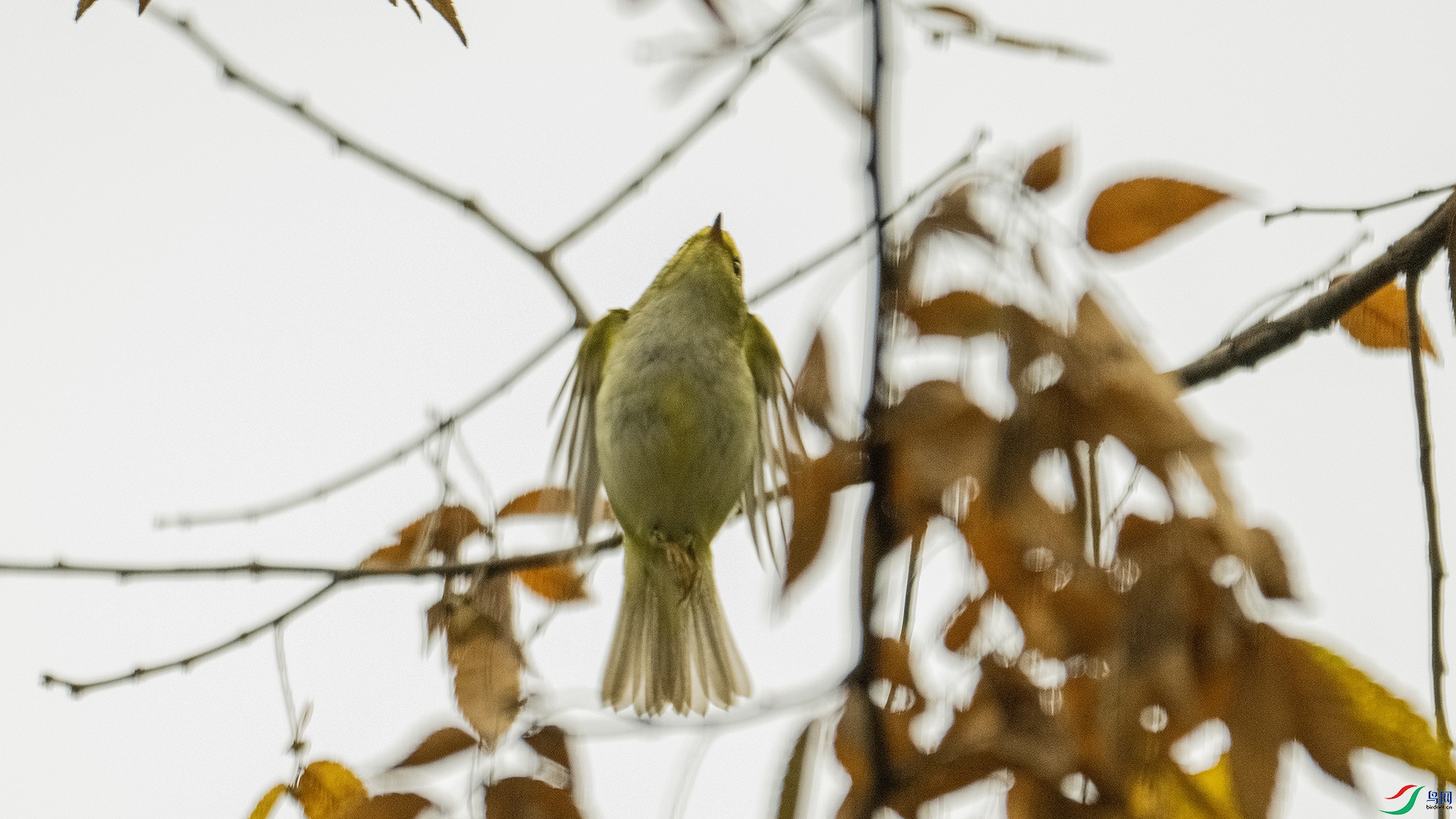 DSC_8863 ����.jpg