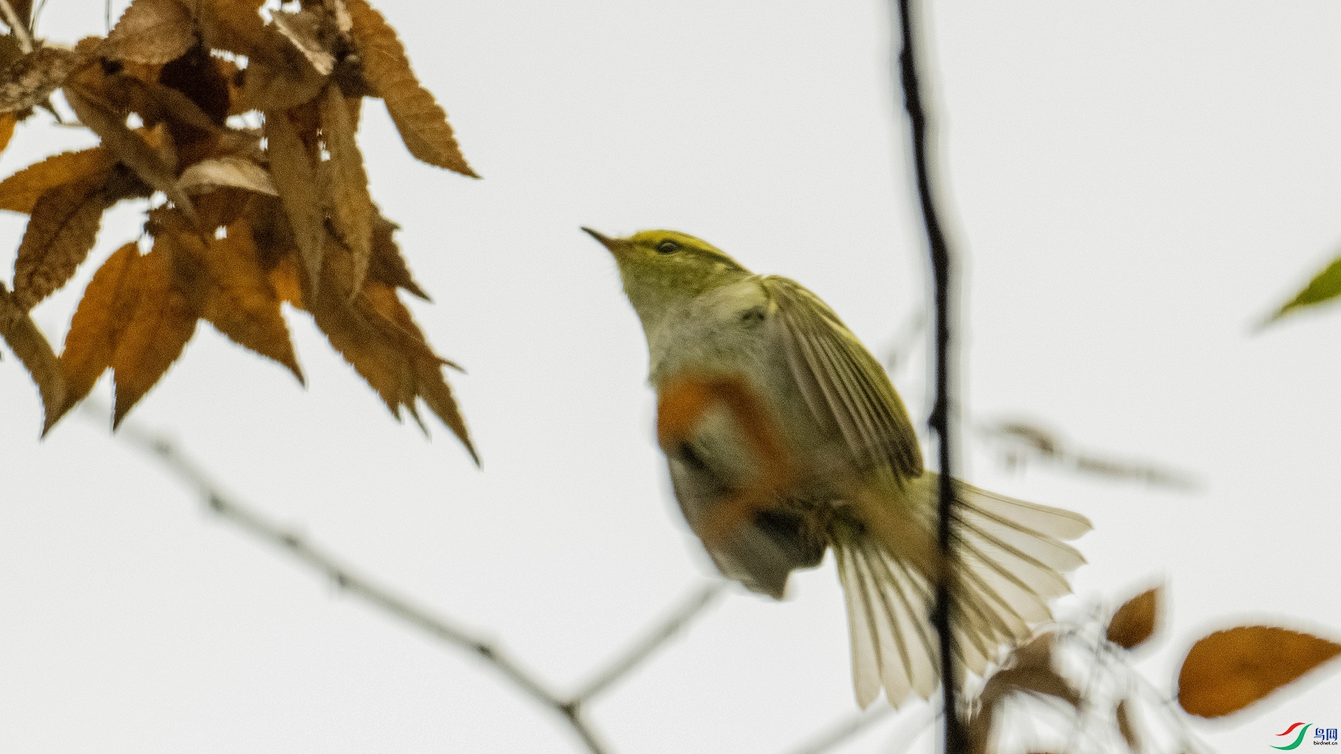 DSC_8867 ����.jpg