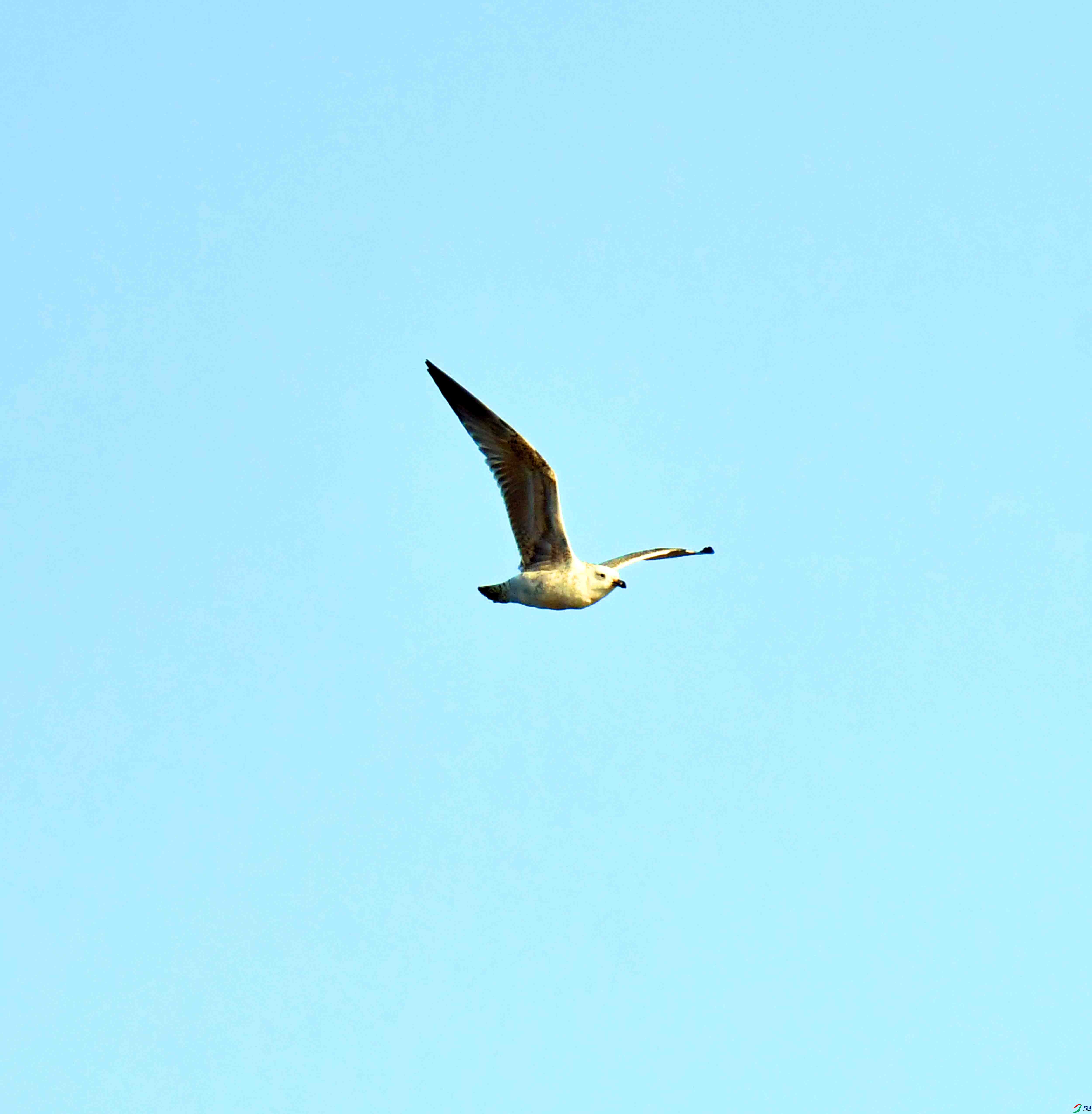 DSC_0021.JPG