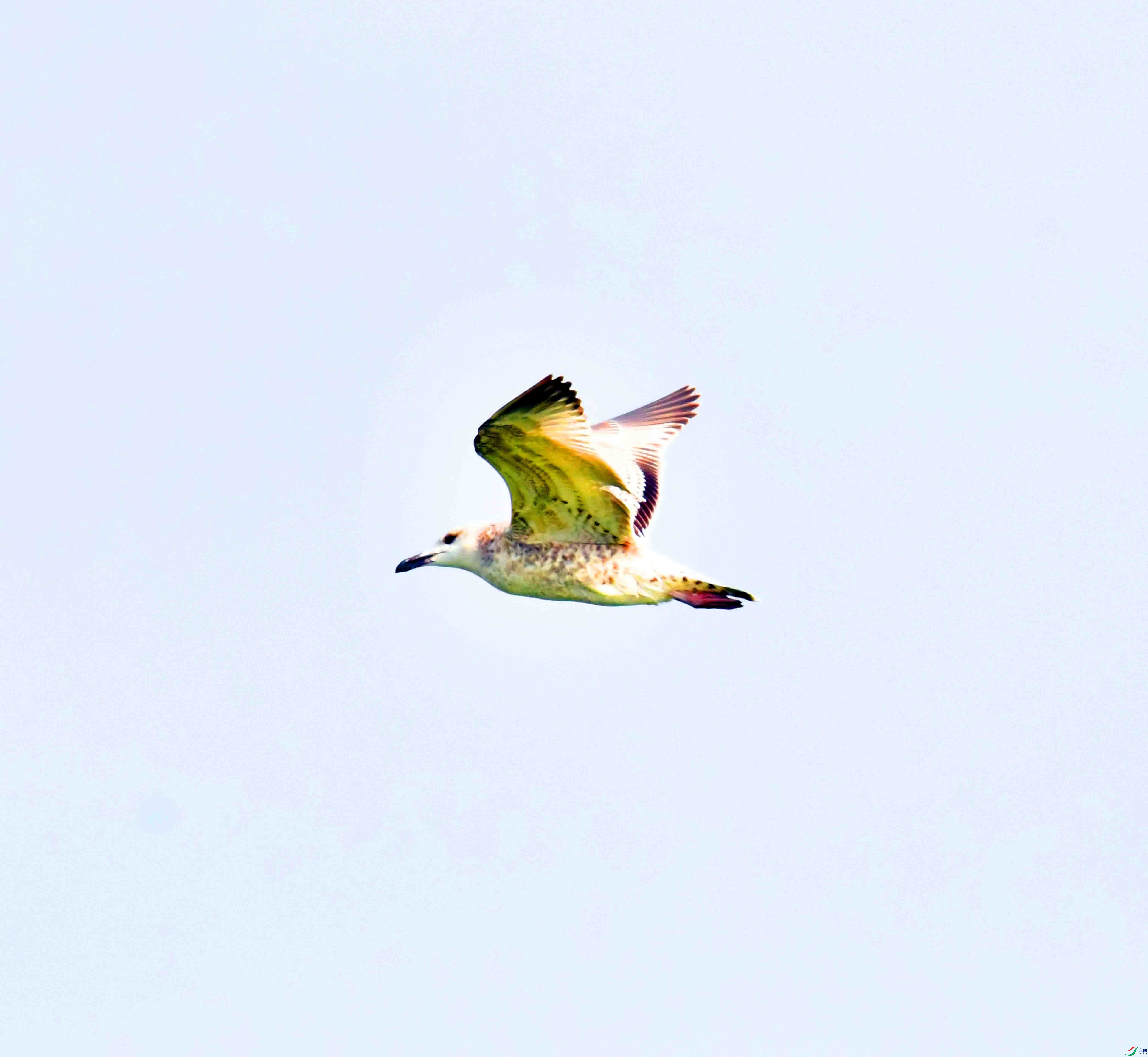 DSC_6173.JPG
