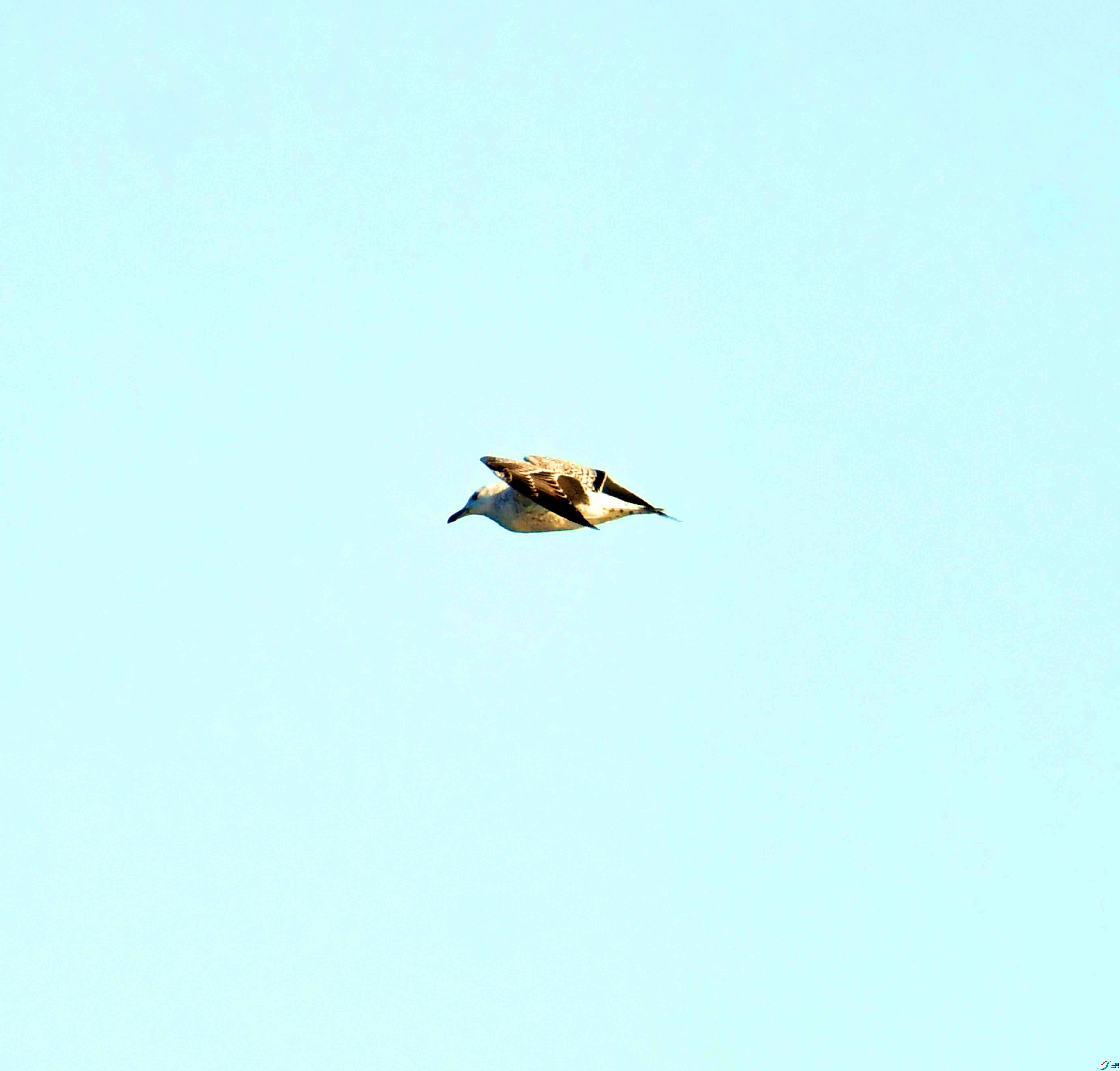 DSC_9994.JPG