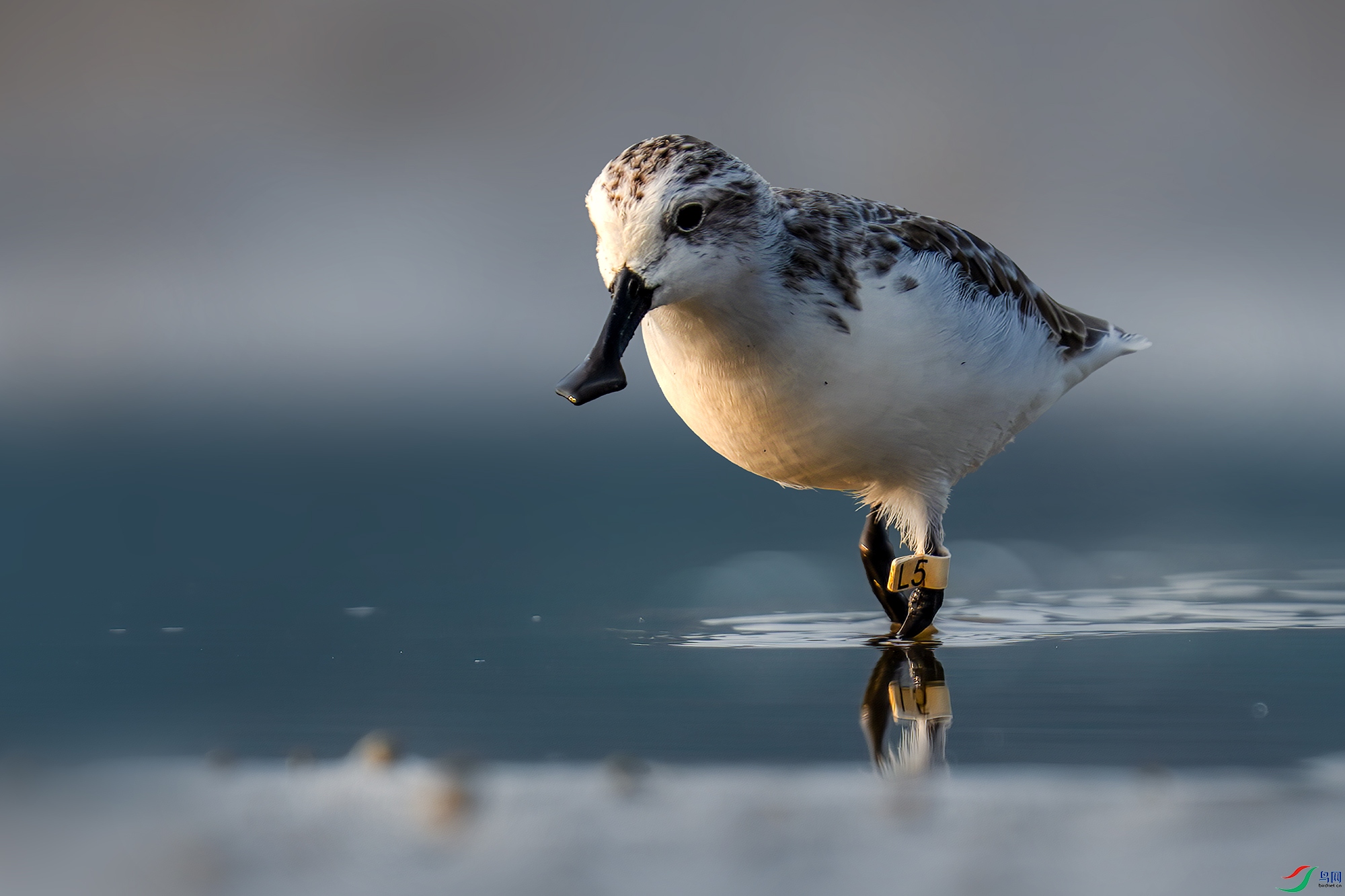 LZW07292 ����.jpg