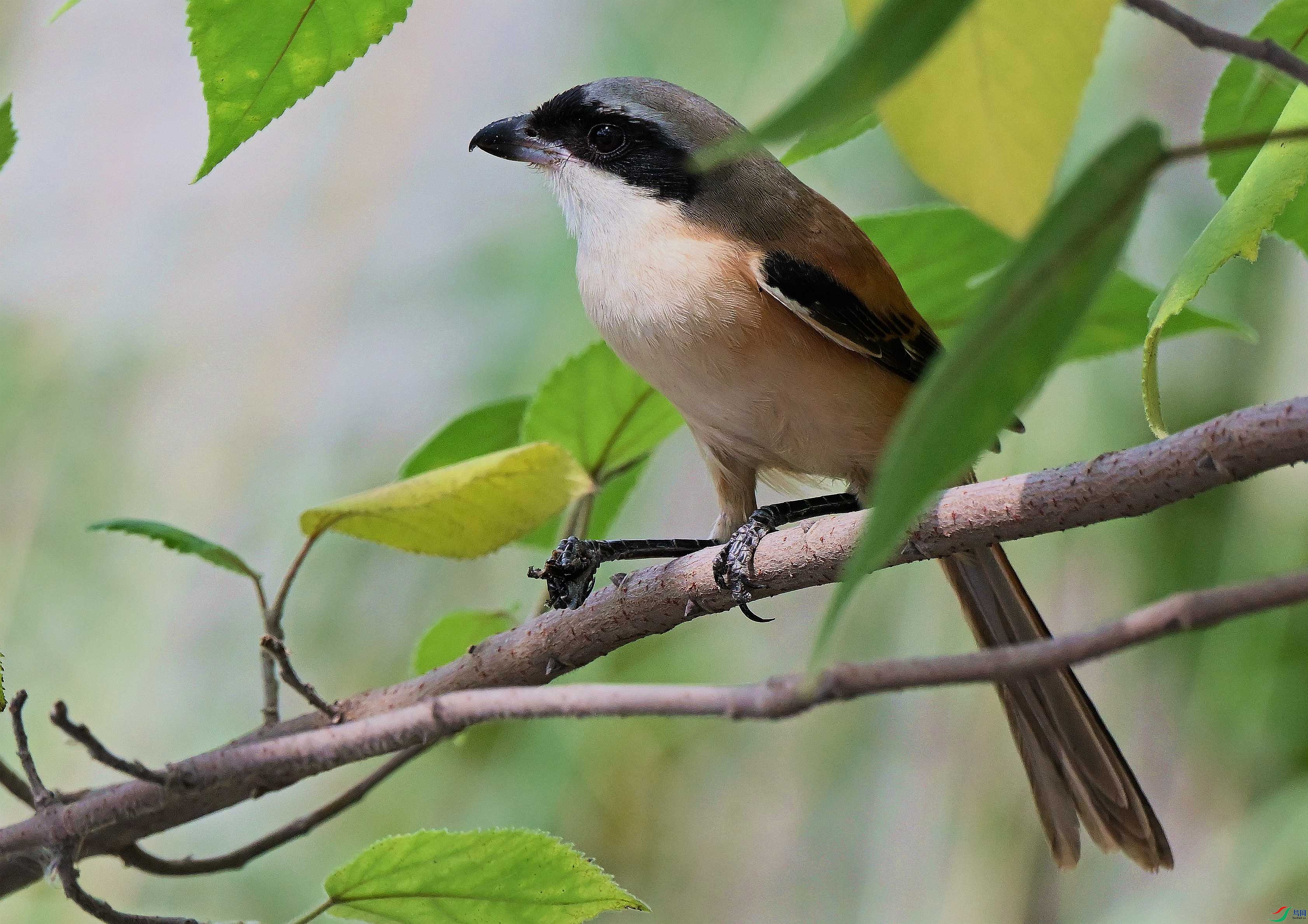 DSC_0640.JPG
