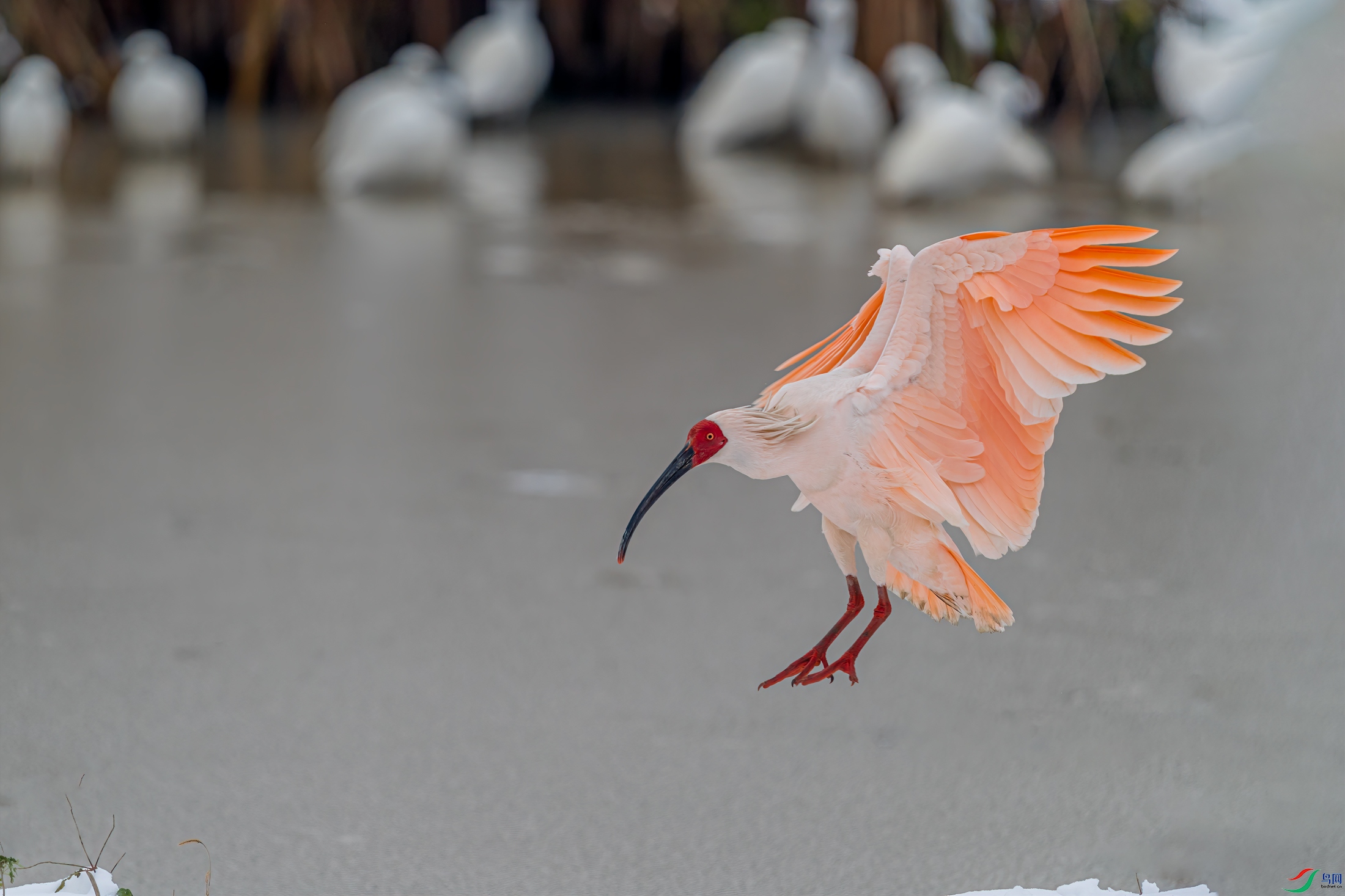 DSC_0014-11.jpg