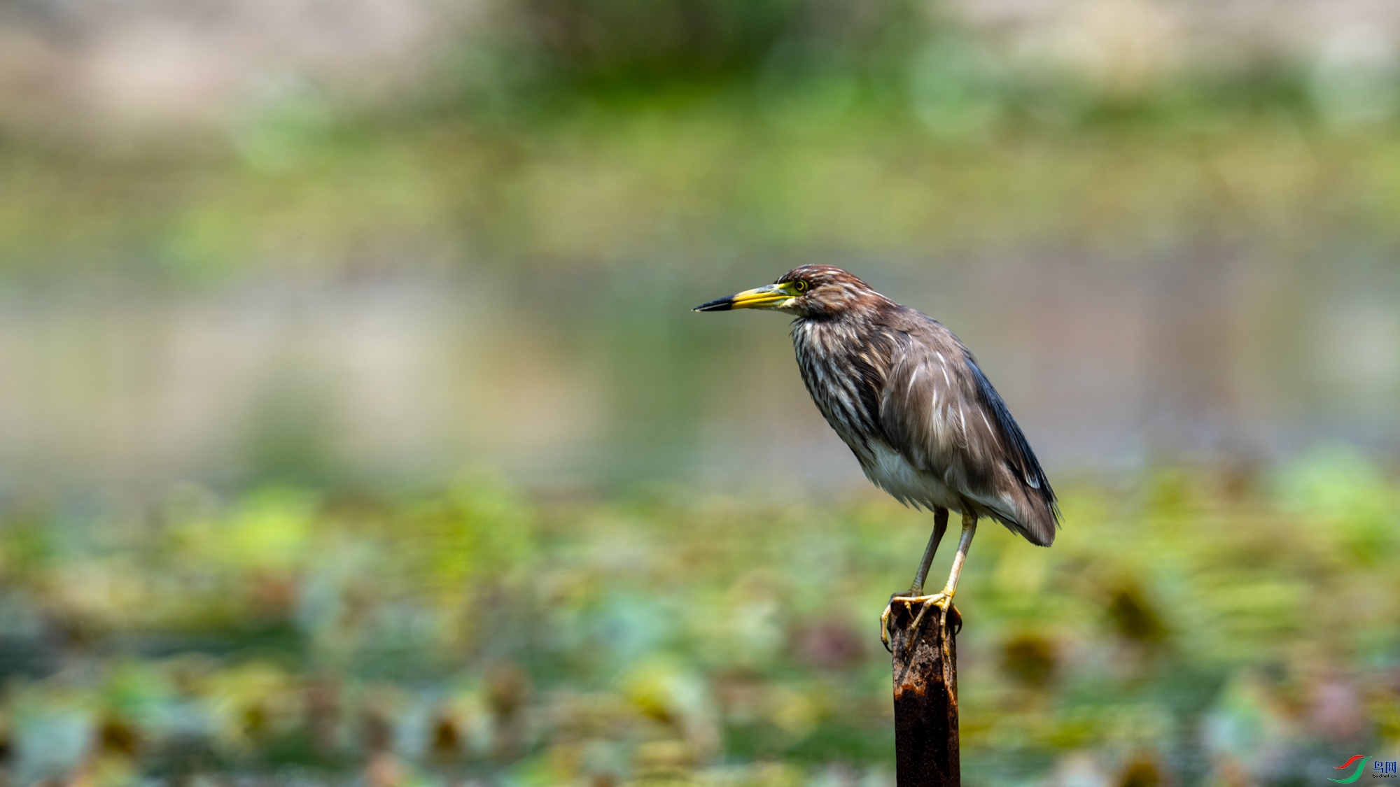 DSC_7557.jpg