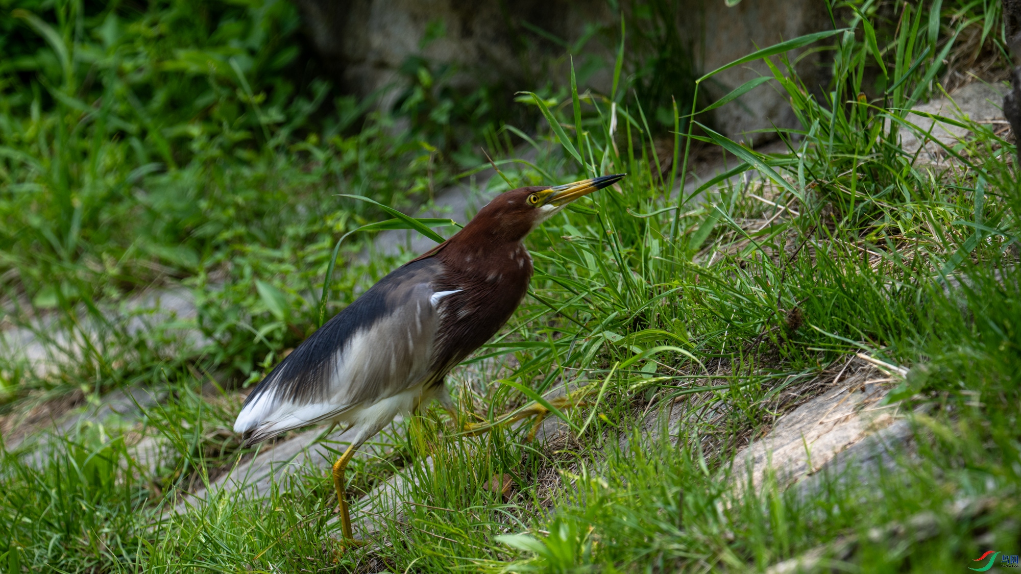 DSC_7553.jpg