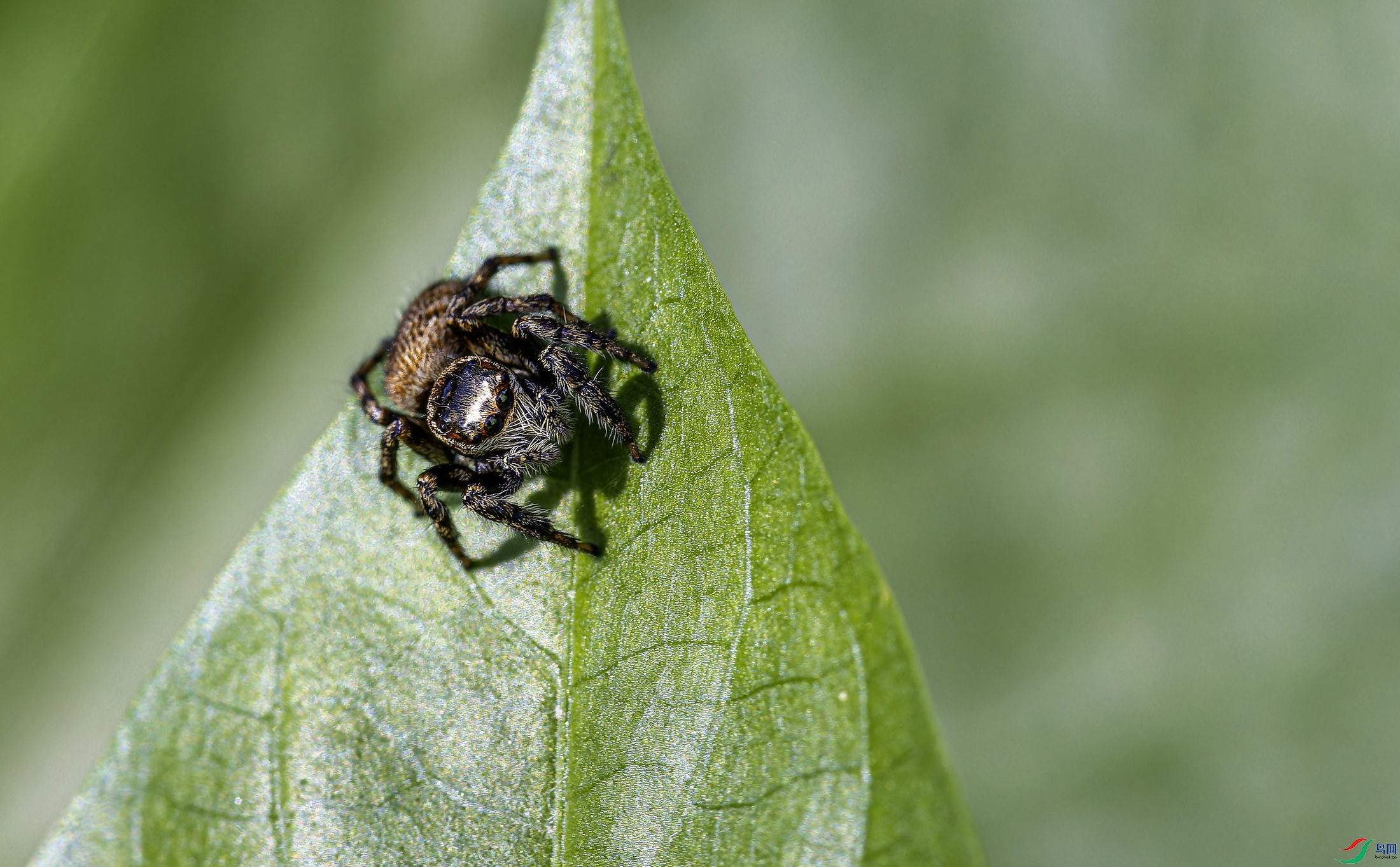 ����3 (1)-01.jpg