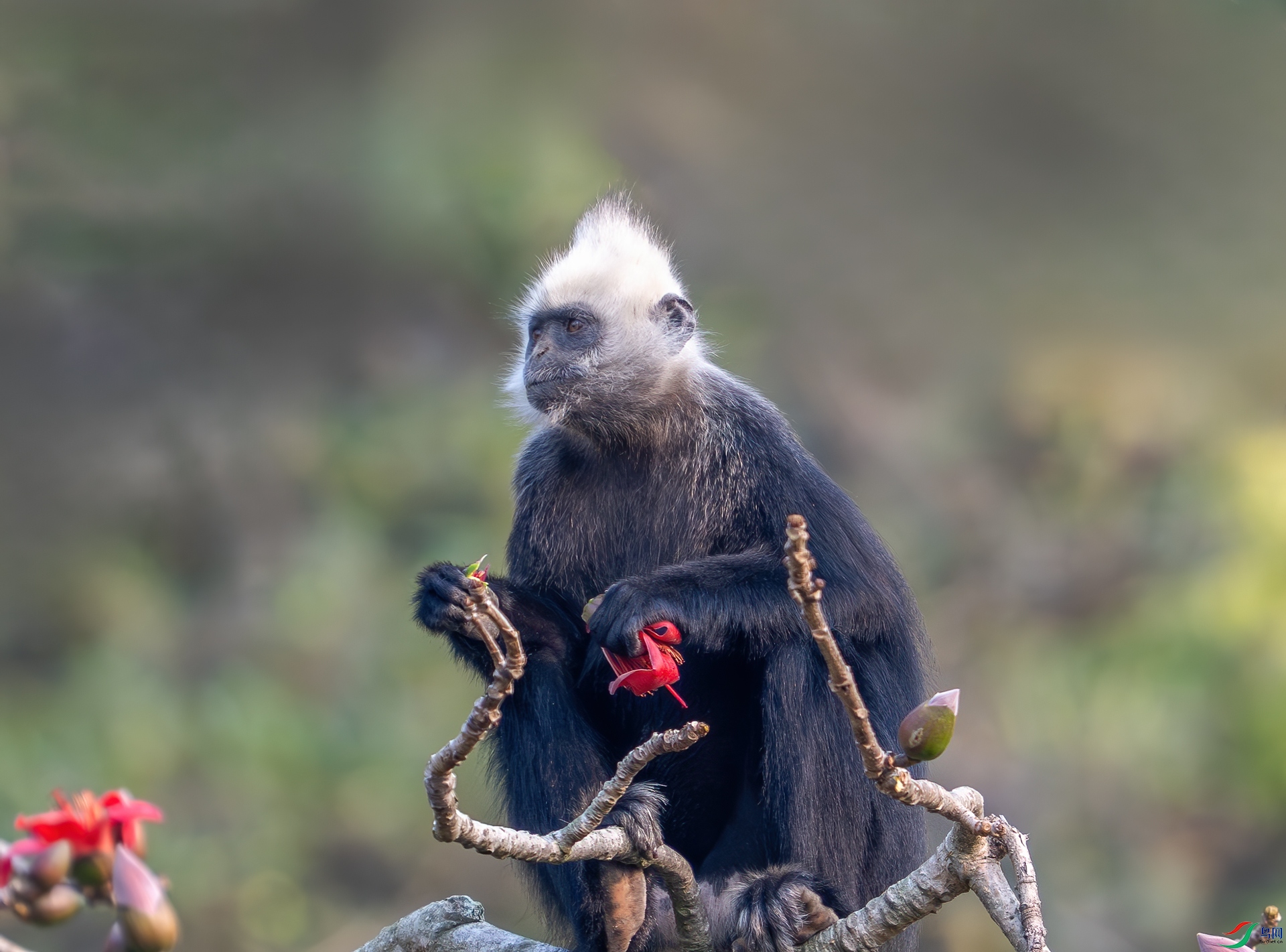 DSC_7946-1.jpg