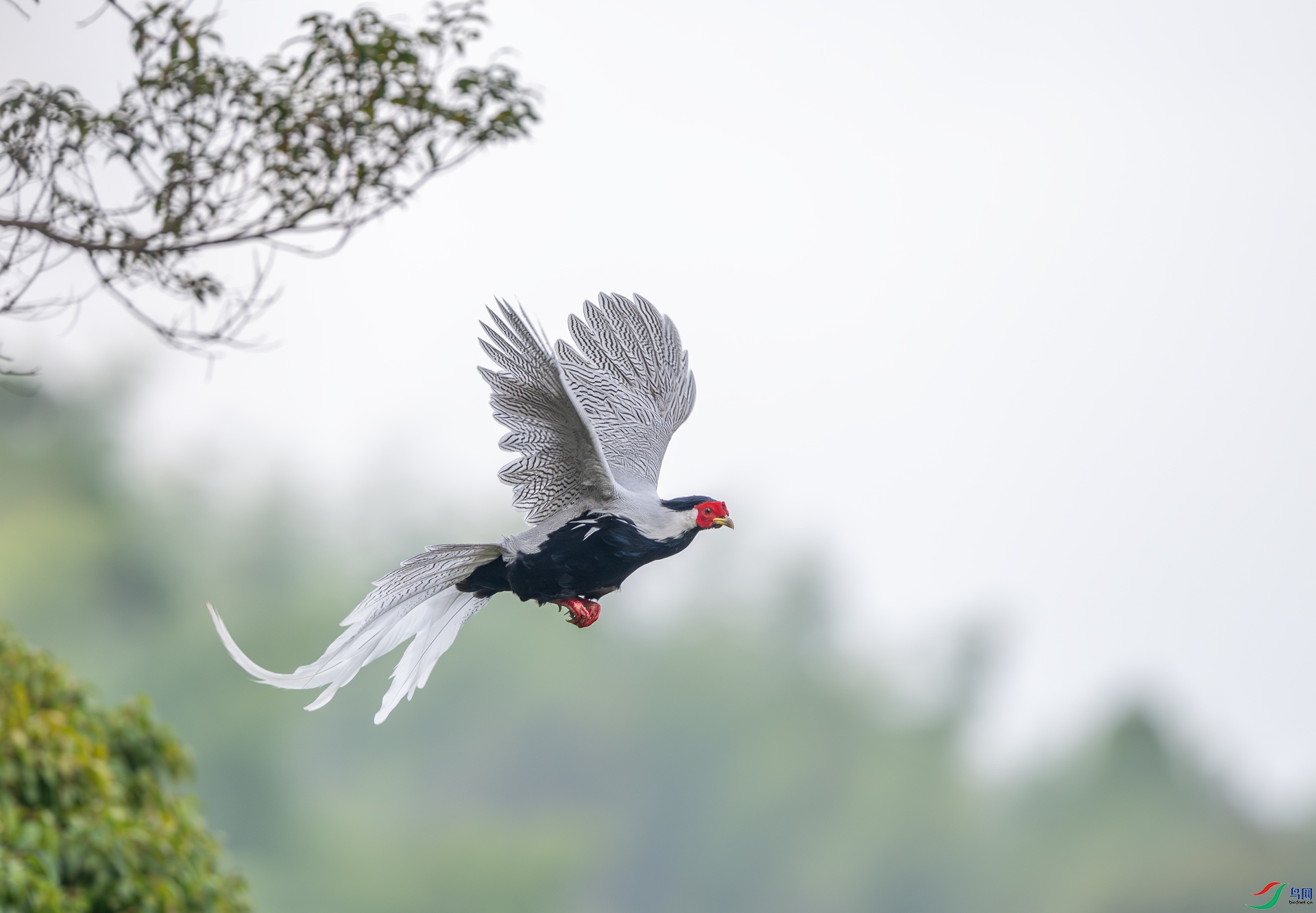 DSC_8158-1.jpg