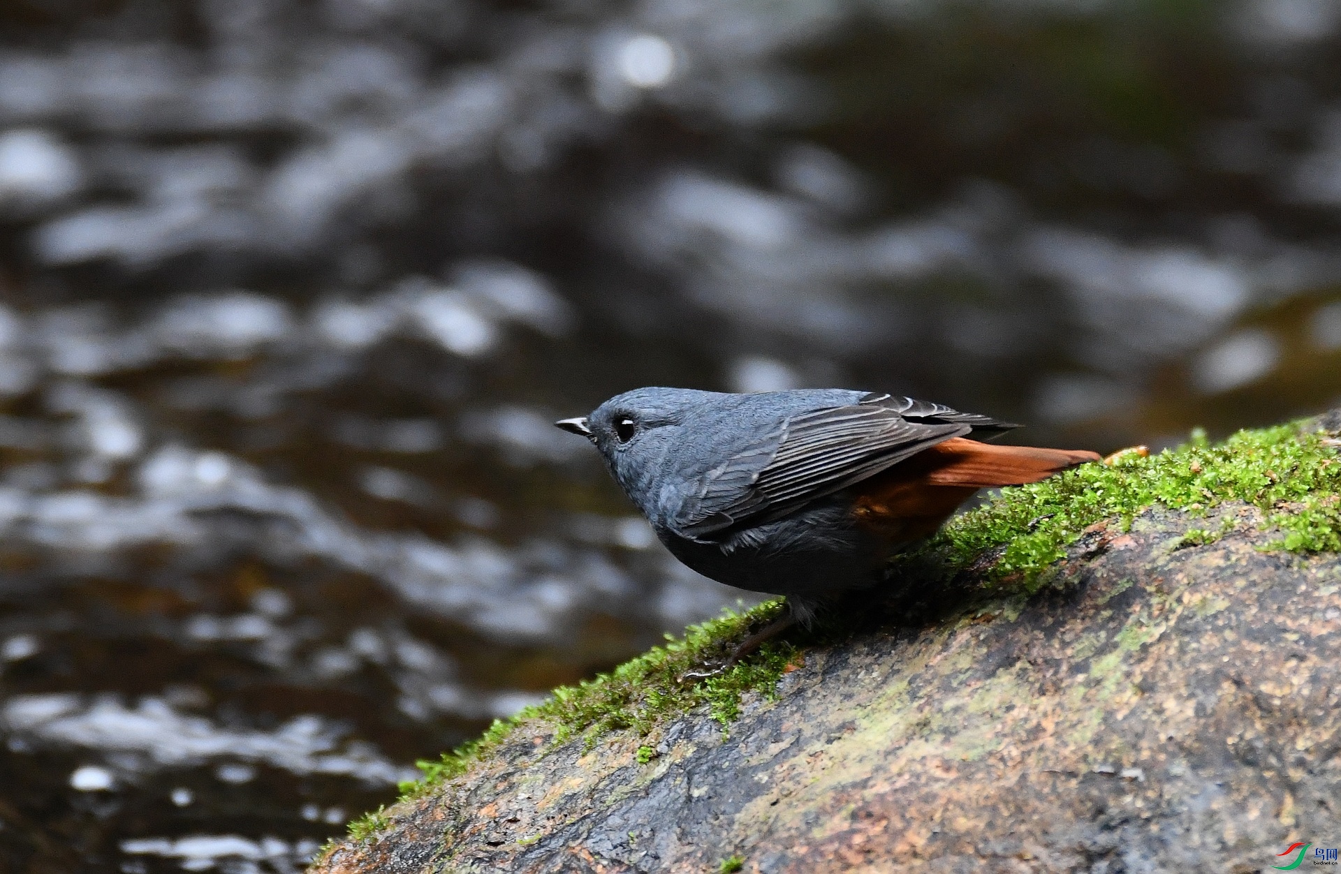 DSC_1090.jpg