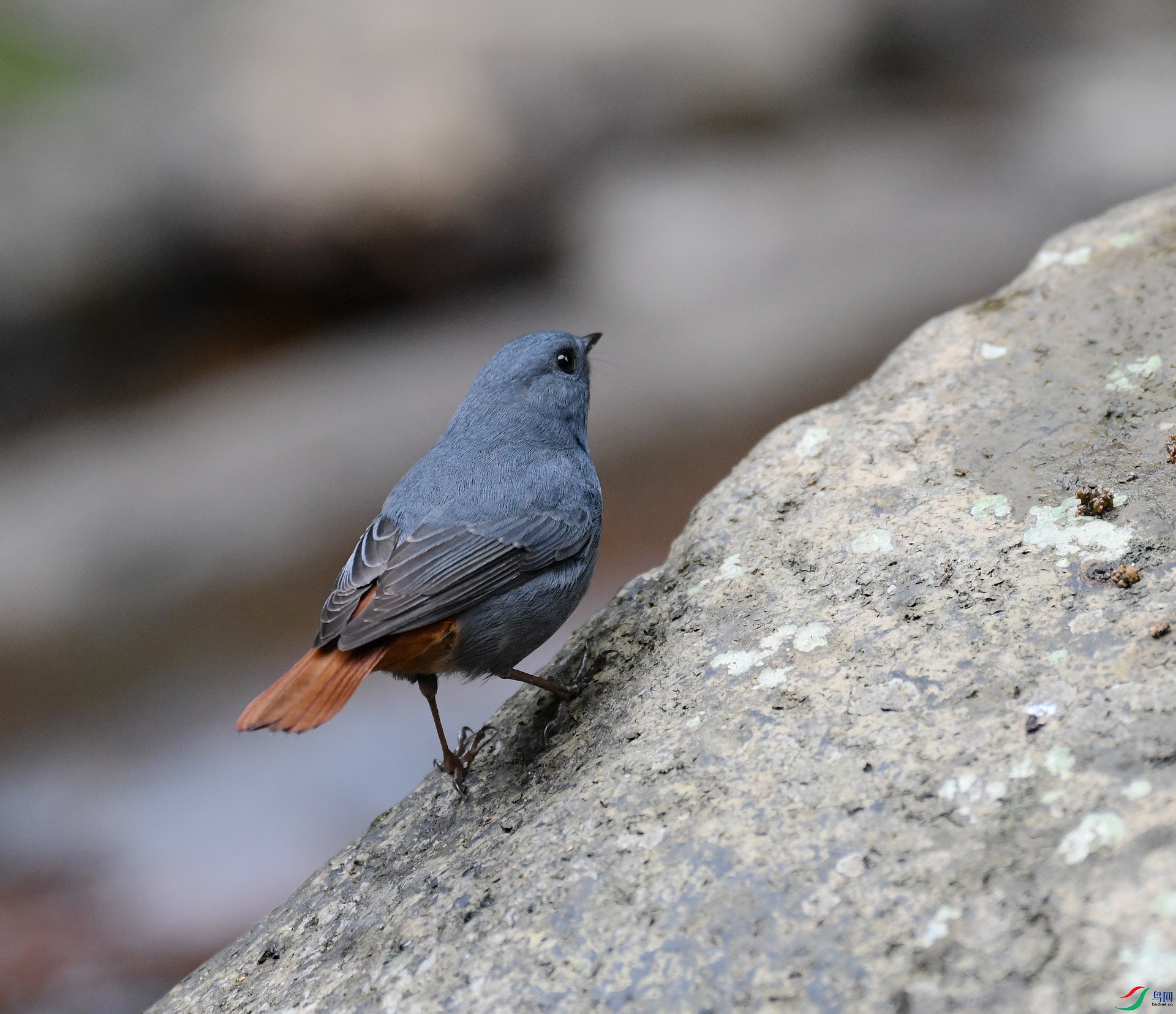 DSC_1046.jpg