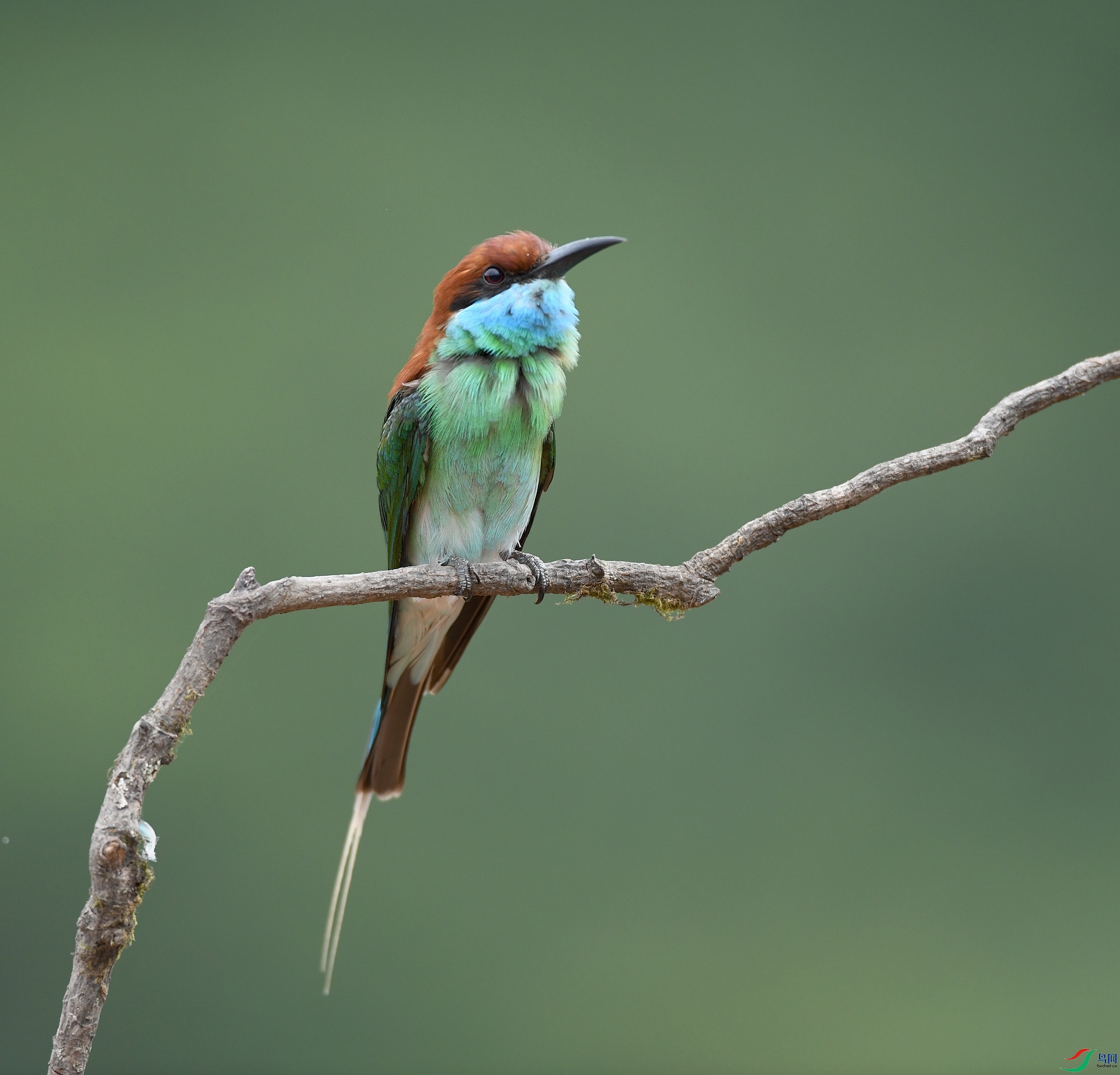 DSC_1094.jpg