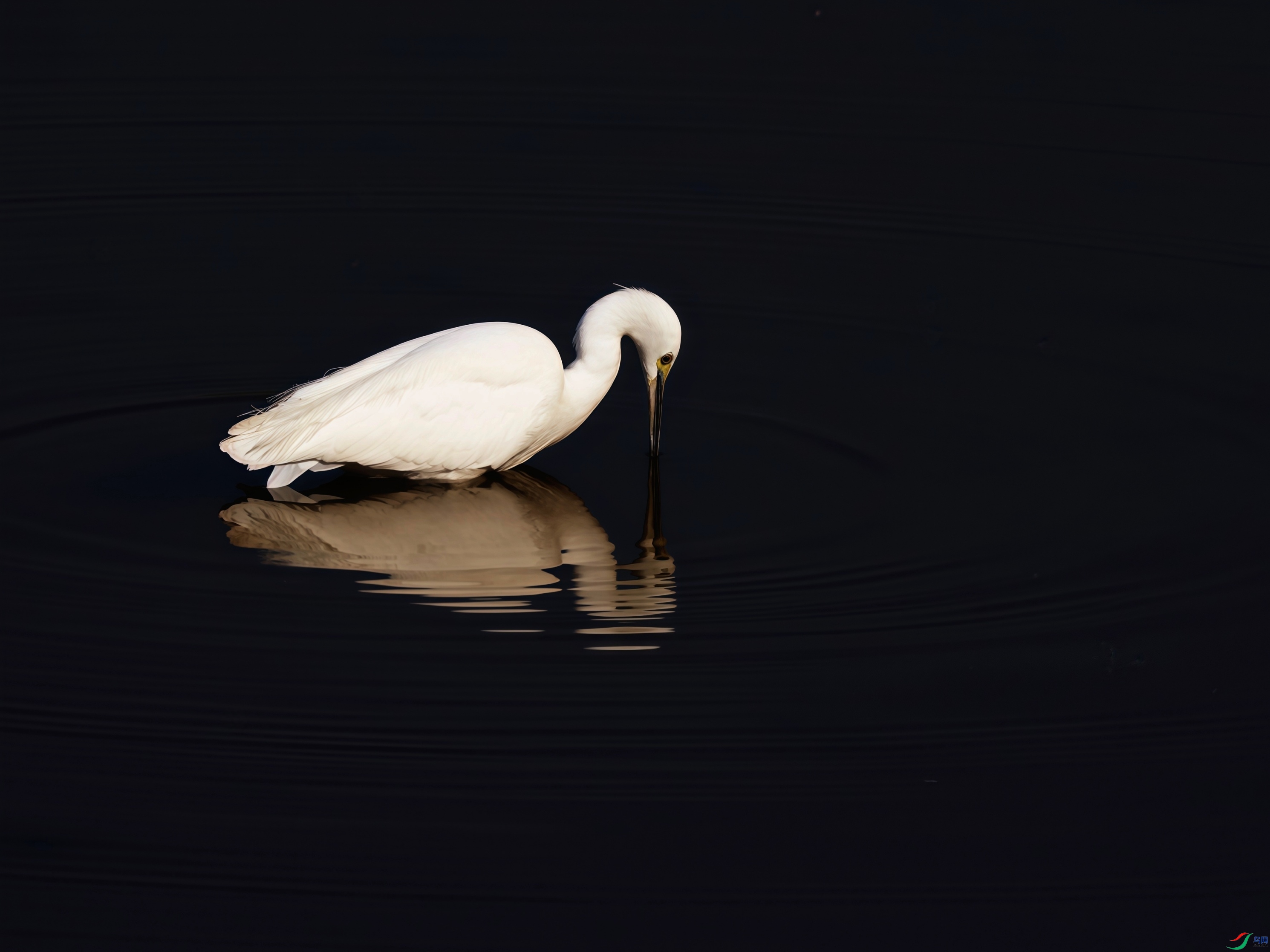 �����صȺ�