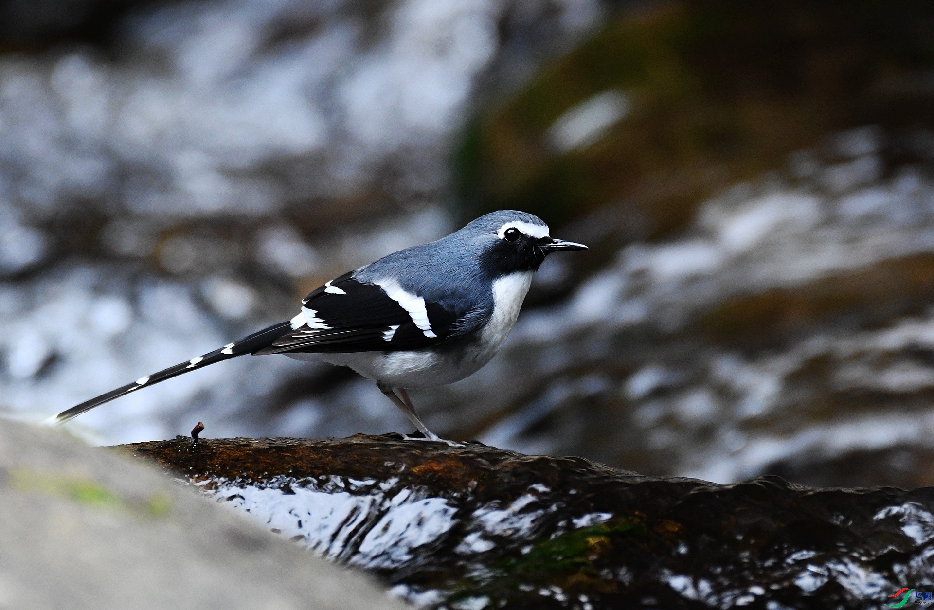 DSC_1085.jpg