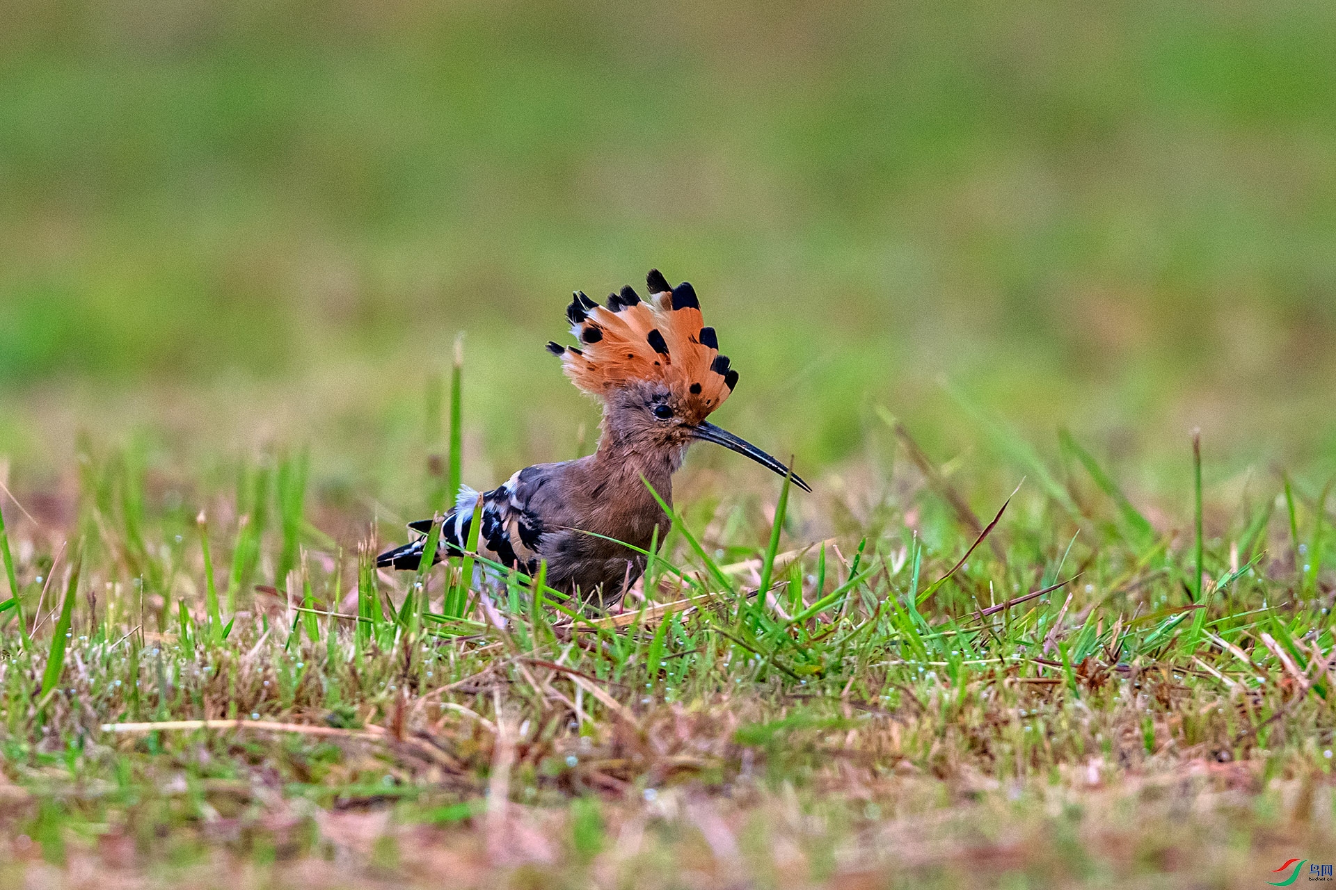 _AUU0128 ��ʤ(25.9.22).jpg