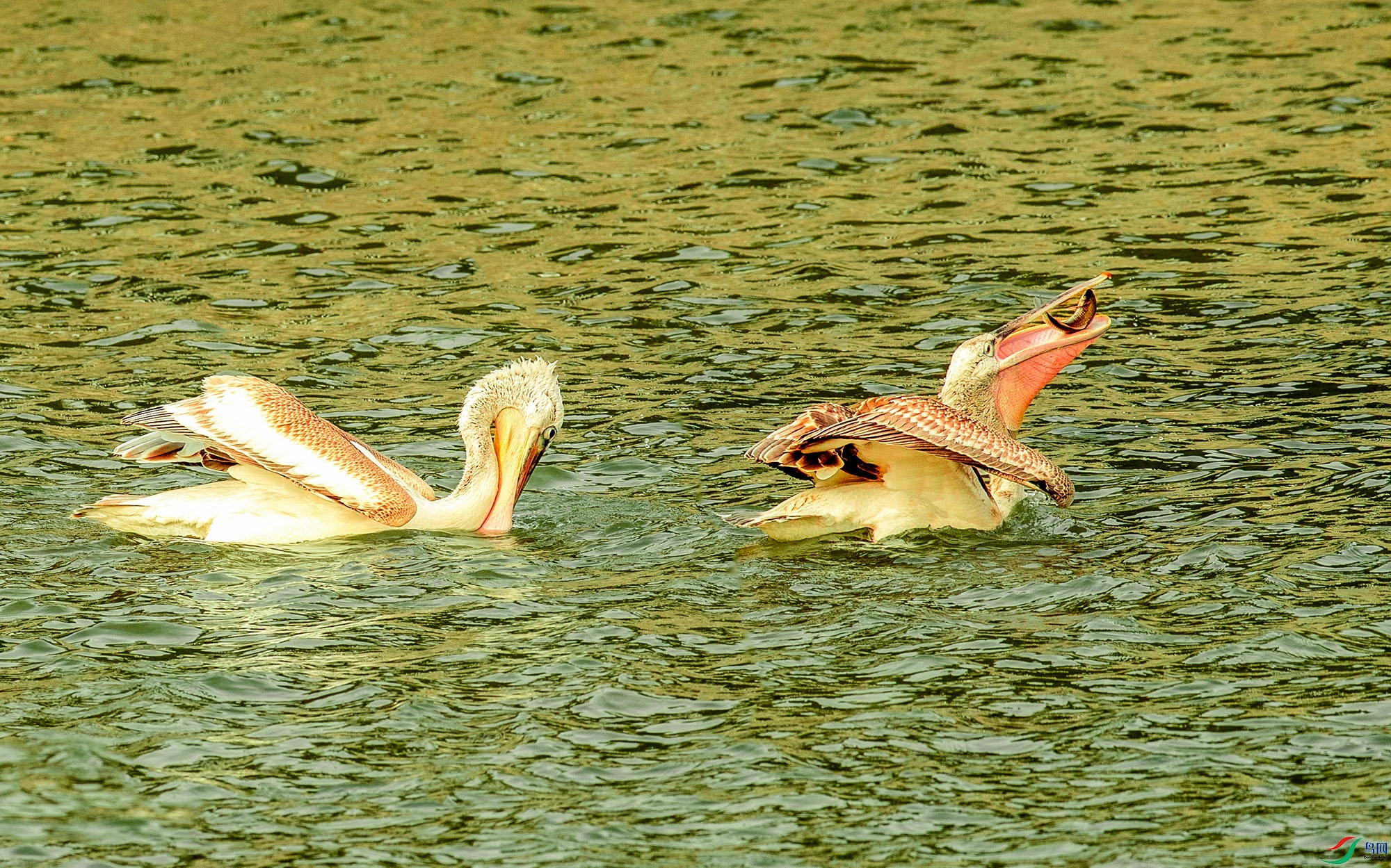 _U4I5880 ���� 2.jpg