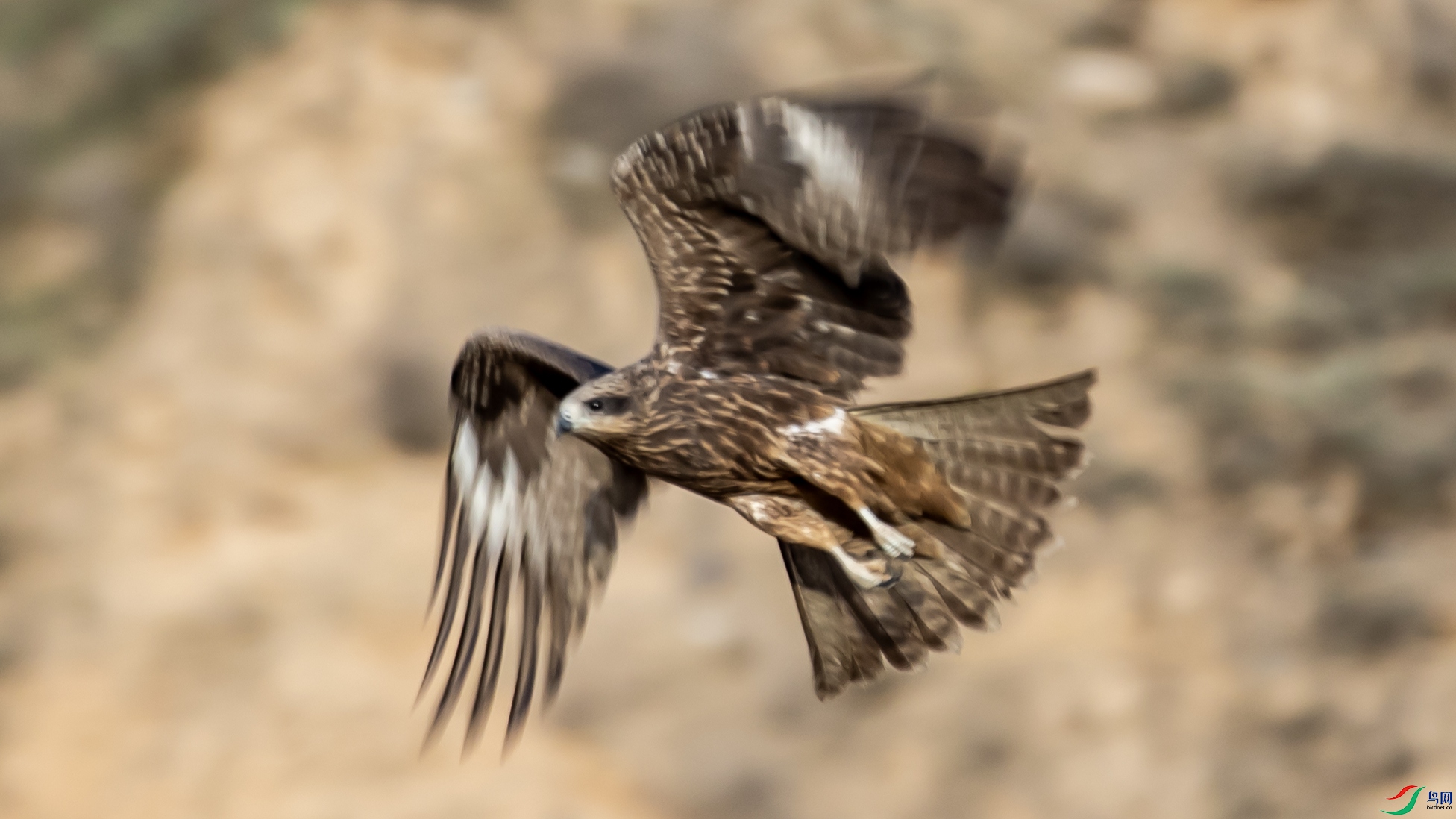 I99A8357 ��� ��.jpg