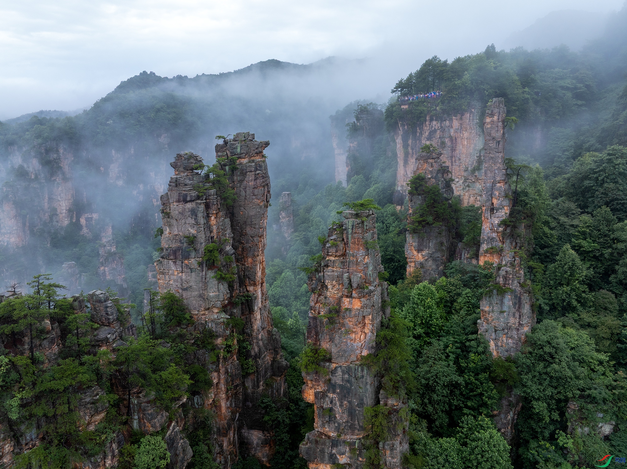 DJI_20250626094815_0019_D ����11.jpg