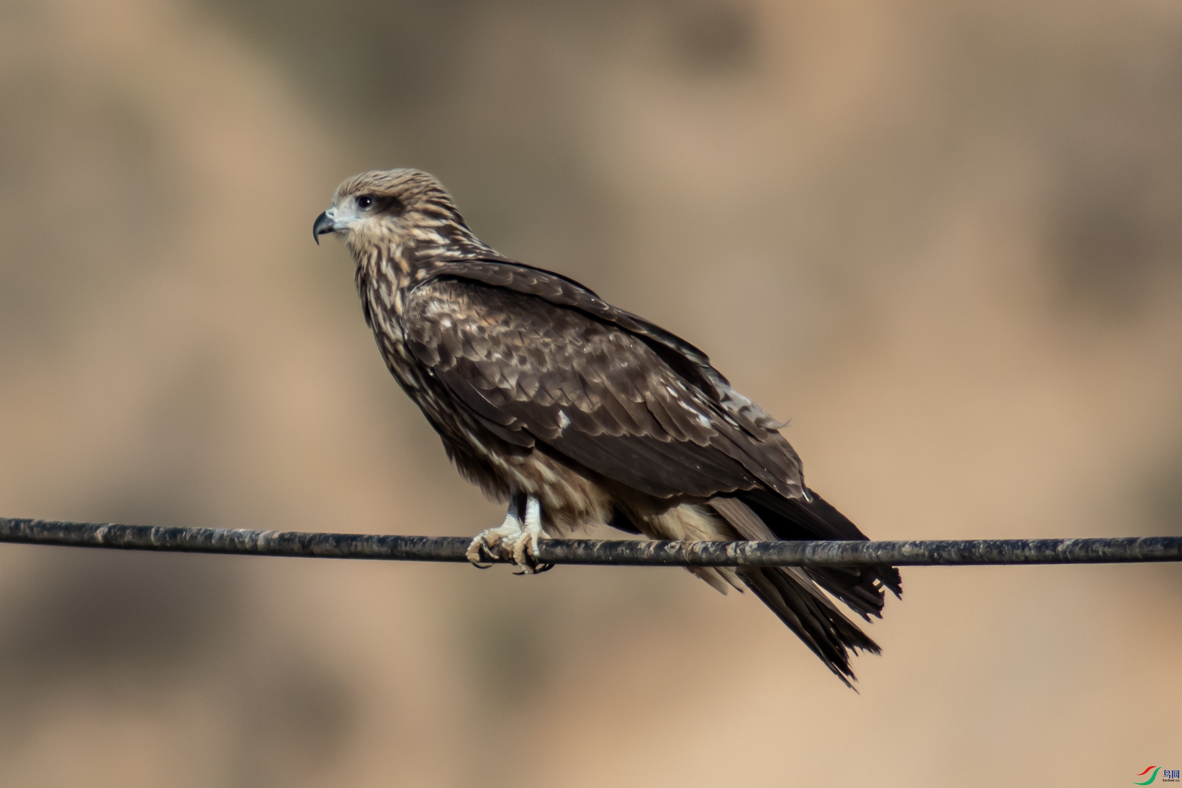 I99A8314 ���.jpg