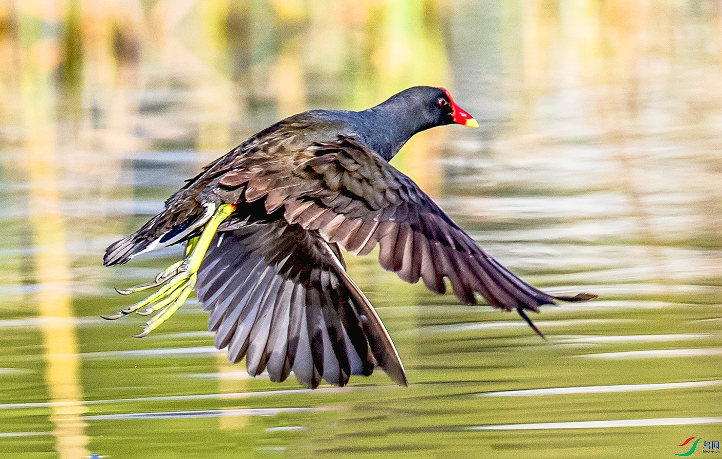 _90I1415 ����.jpg