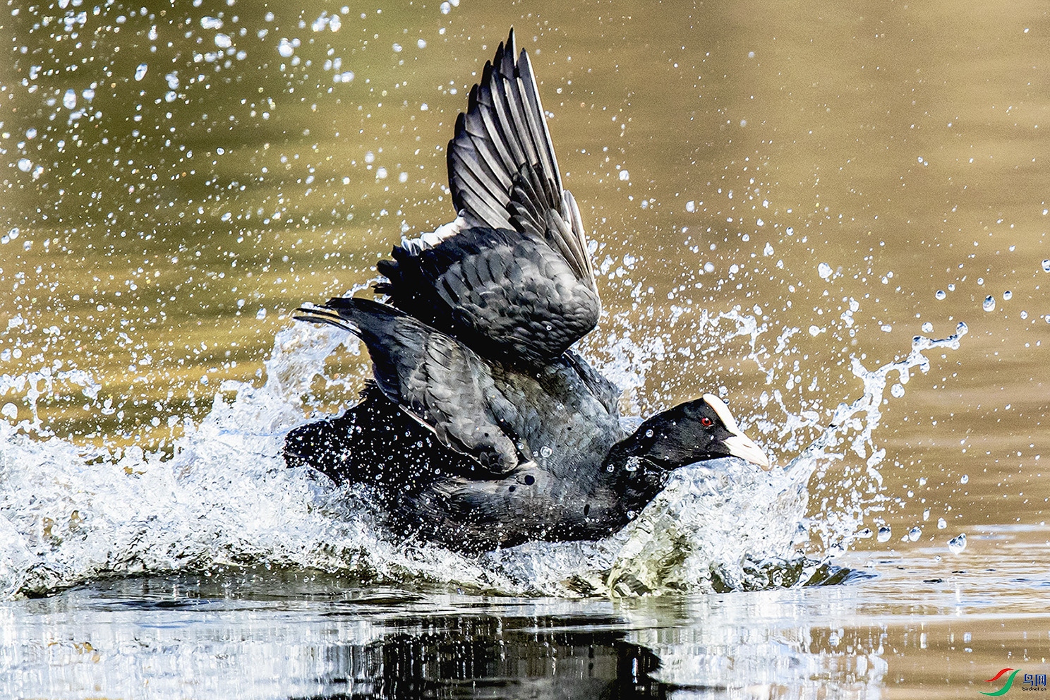 _90I4032 ���� 3.jpg