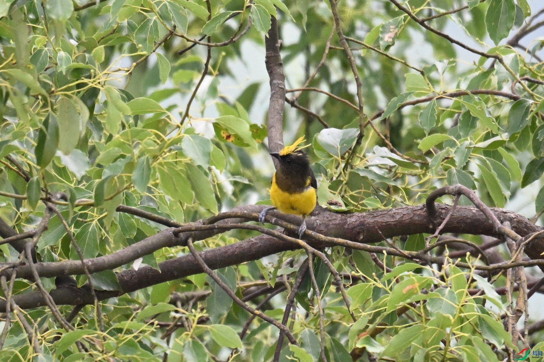 DSC_9652.JPG