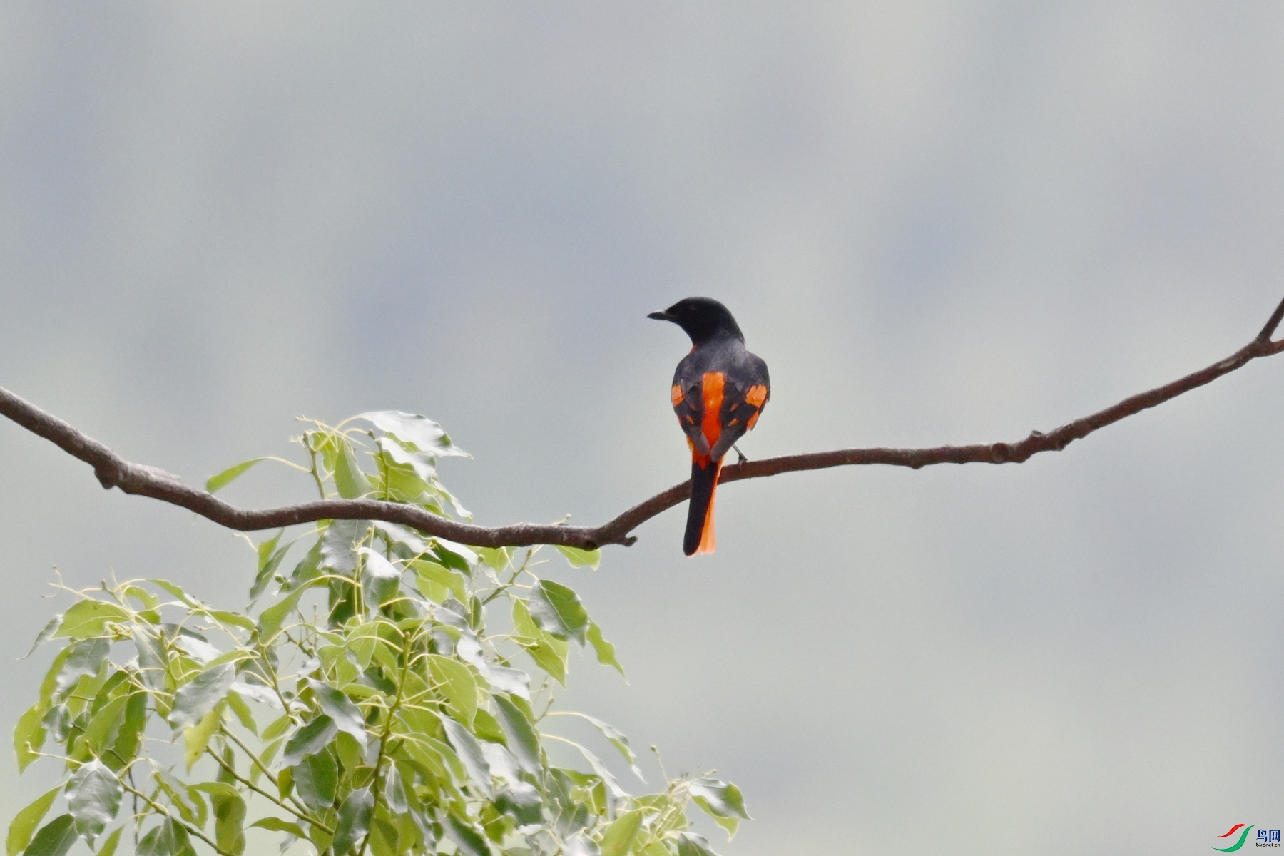 DSC_9674.JPG