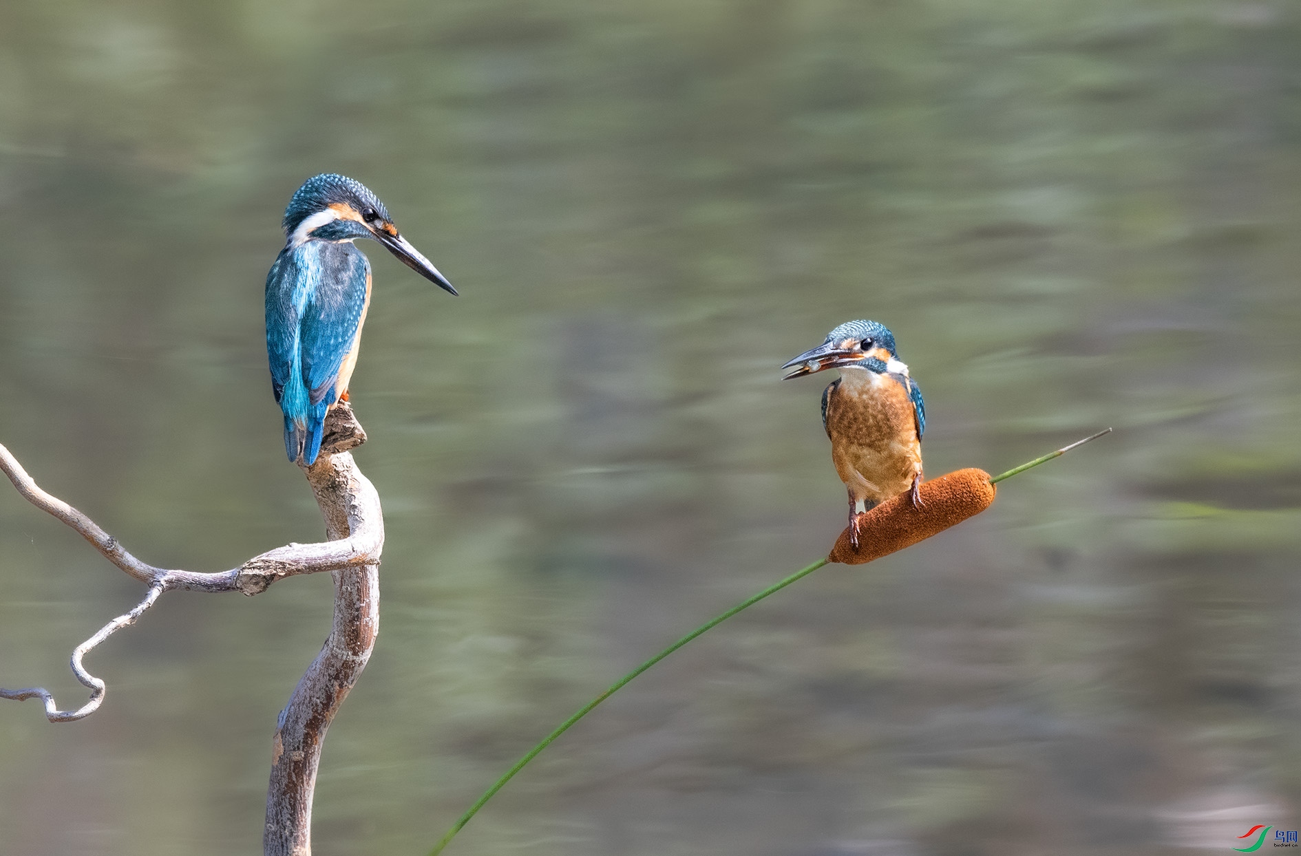 DSC_8158_��ͼ�� ����.jpg