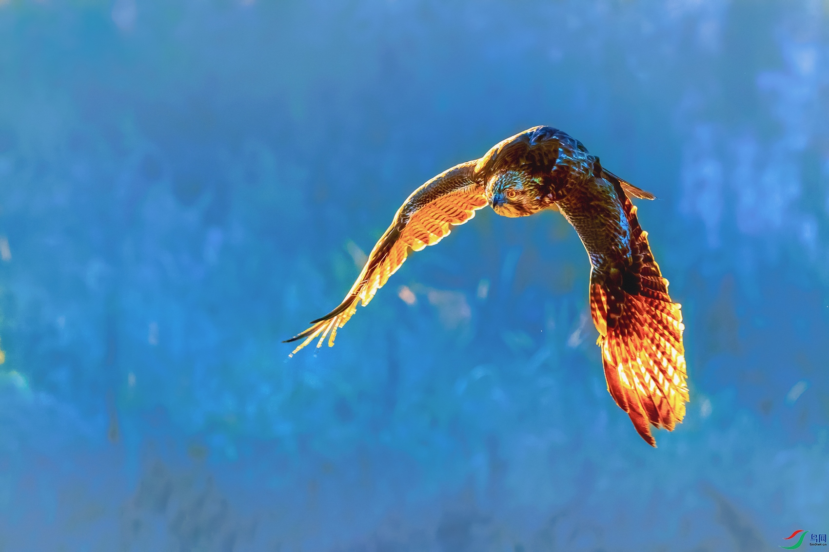 ���\----����û�л�ͷ��