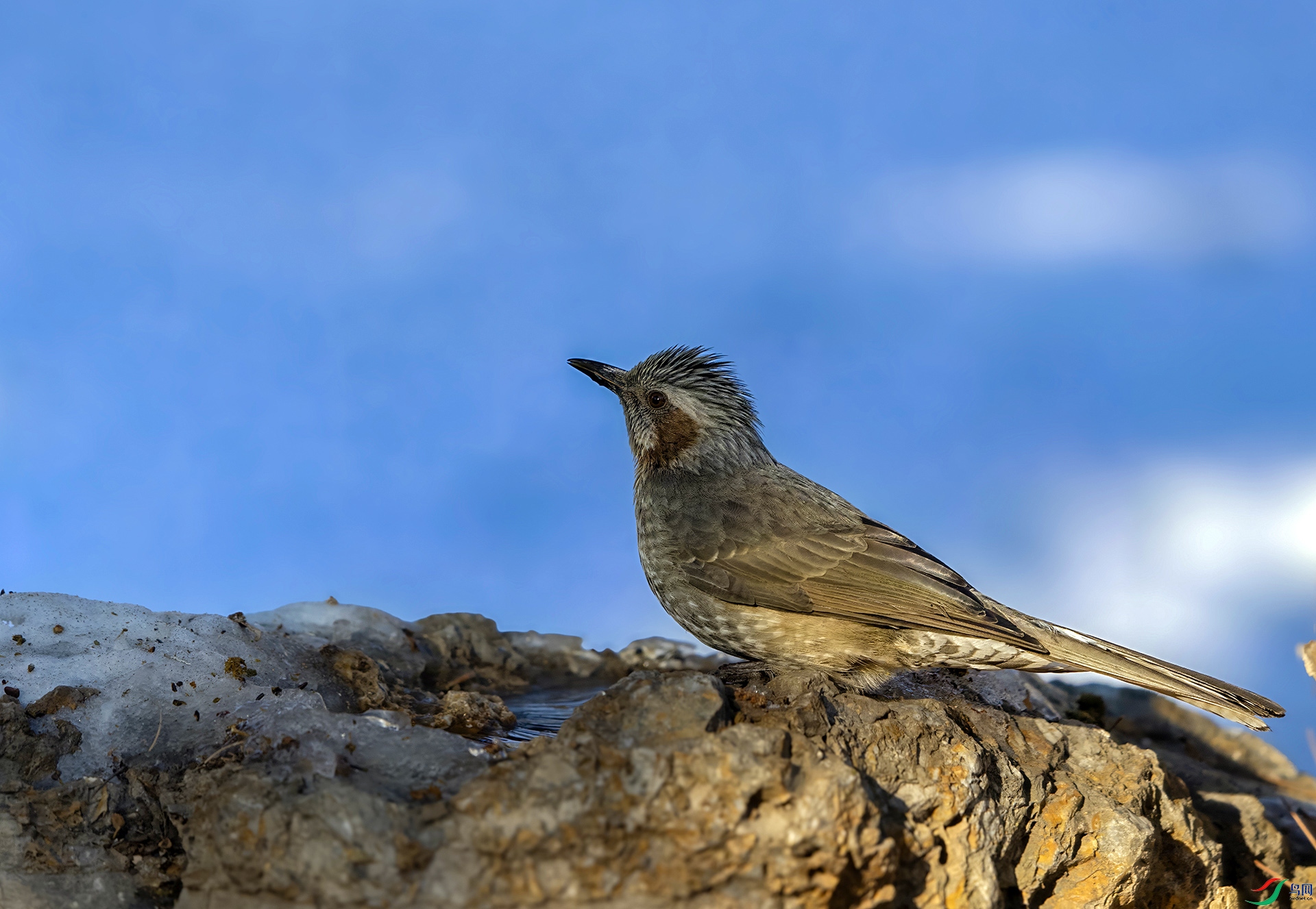 DSC08541-topaz-denoiseraw-sharpen ���� 2.jpg