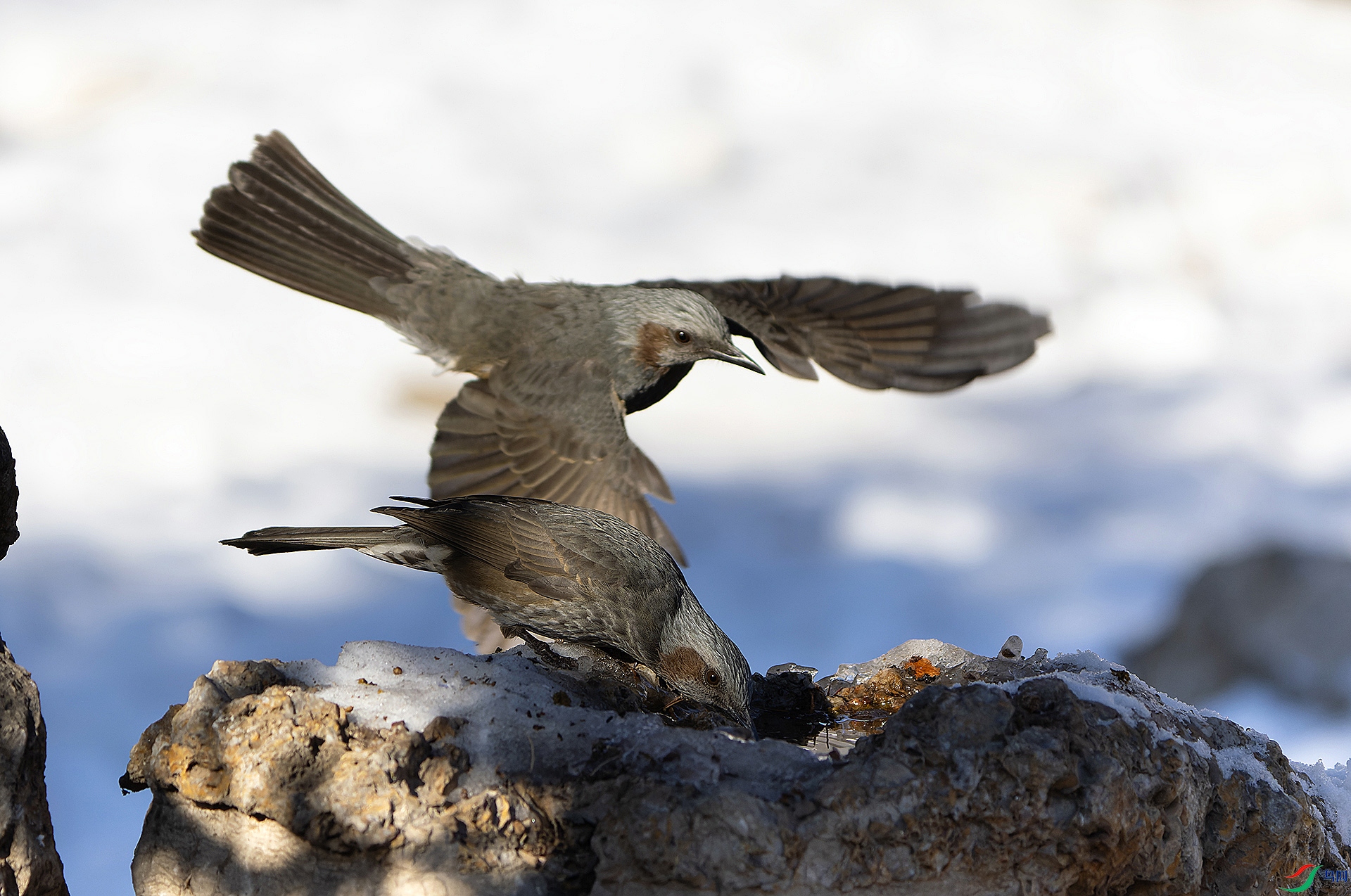 DSC09813-ARW_DxO_DeepPRIME ���� 2.jpg